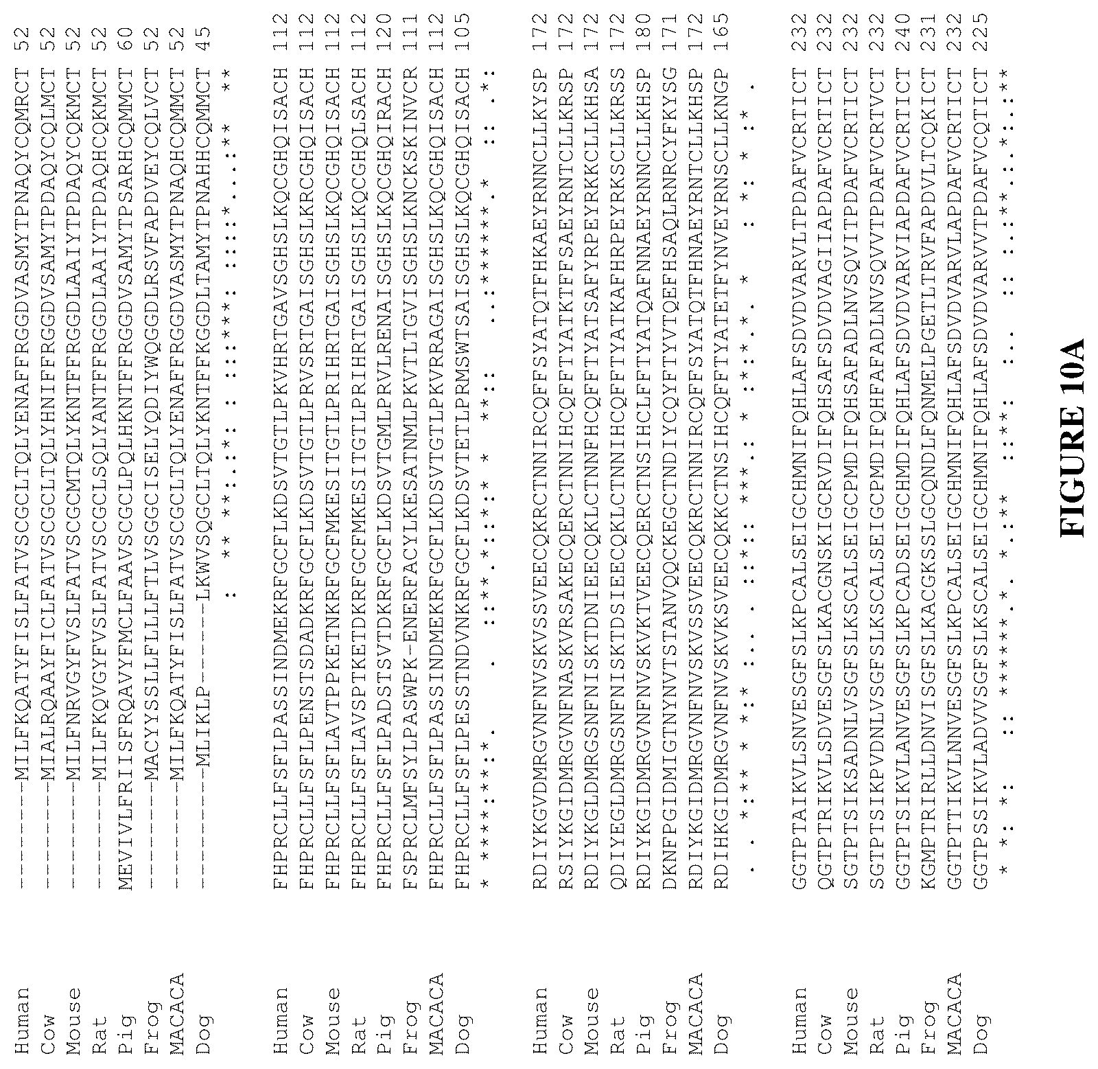 Patent US12460016 Figure 11 – Plasma kallikrein binding proteins