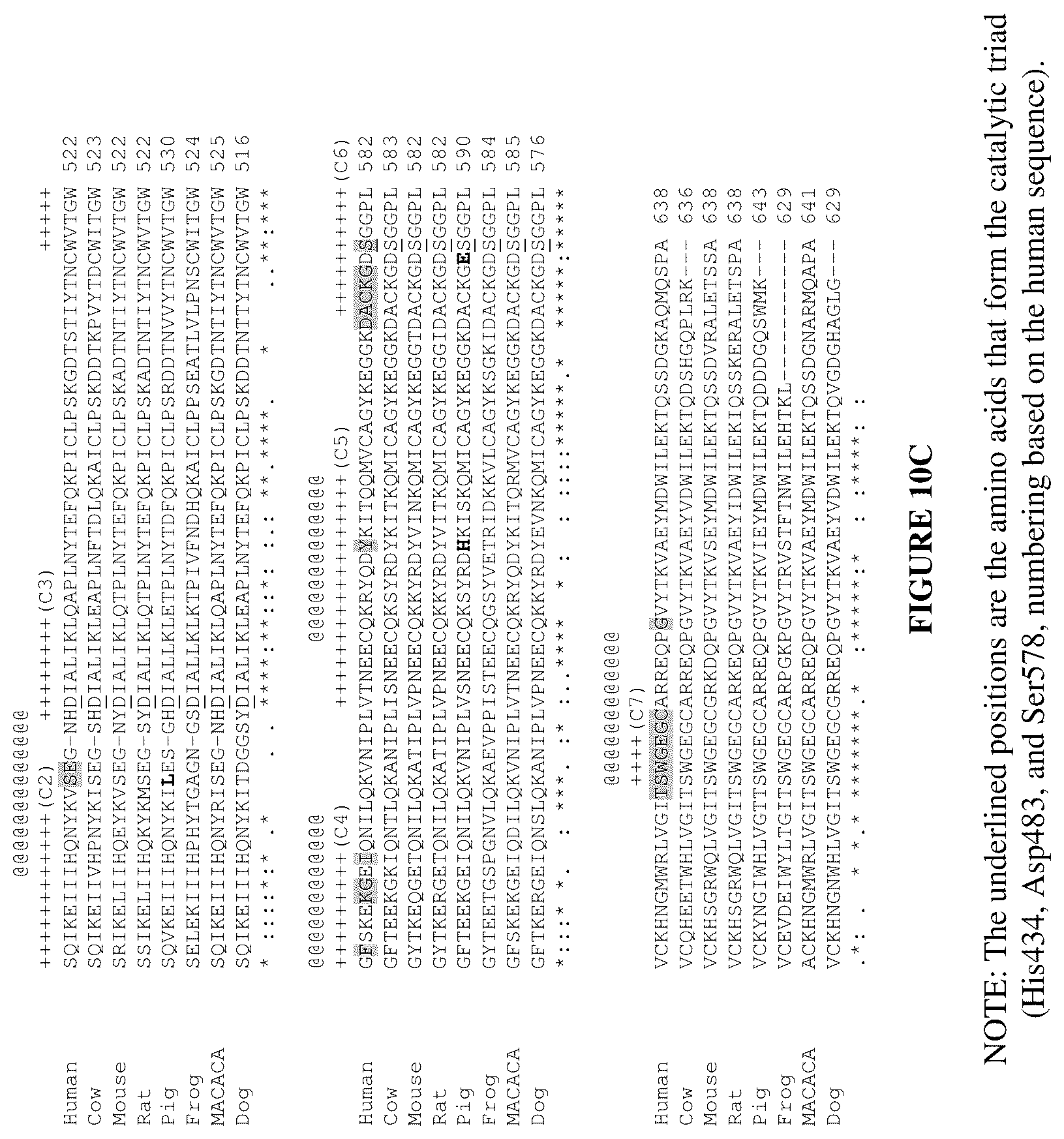 Patent US12460016 Figure 13 – Plasma kallikrein binding proteins