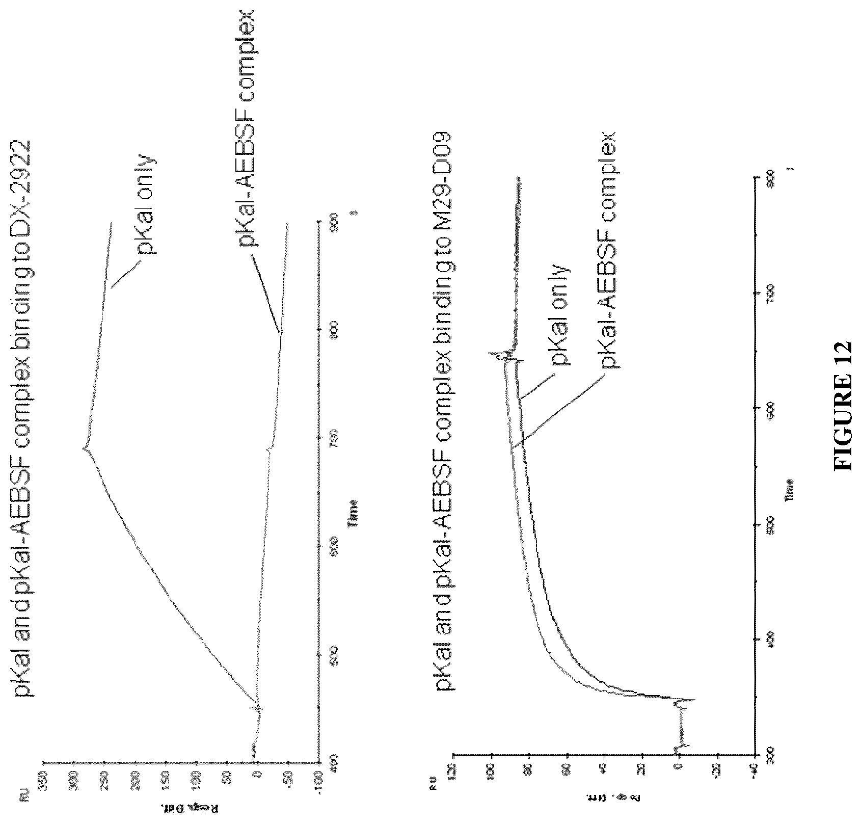 Patent US12460016 Figure 16 – Plasma kallikrein binding proteins