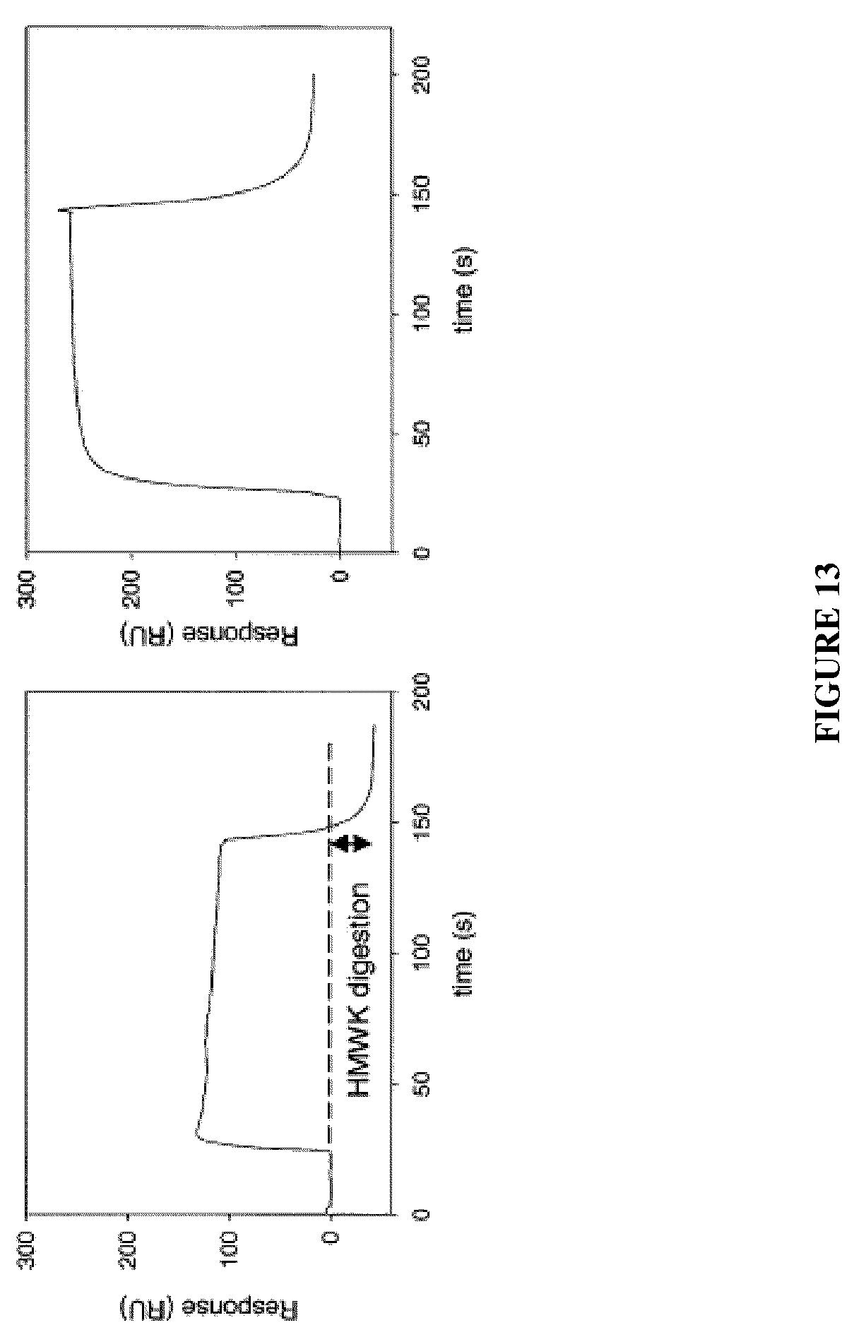 Patent US12460016 Figure 17 – Plasma kallikrein binding proteins