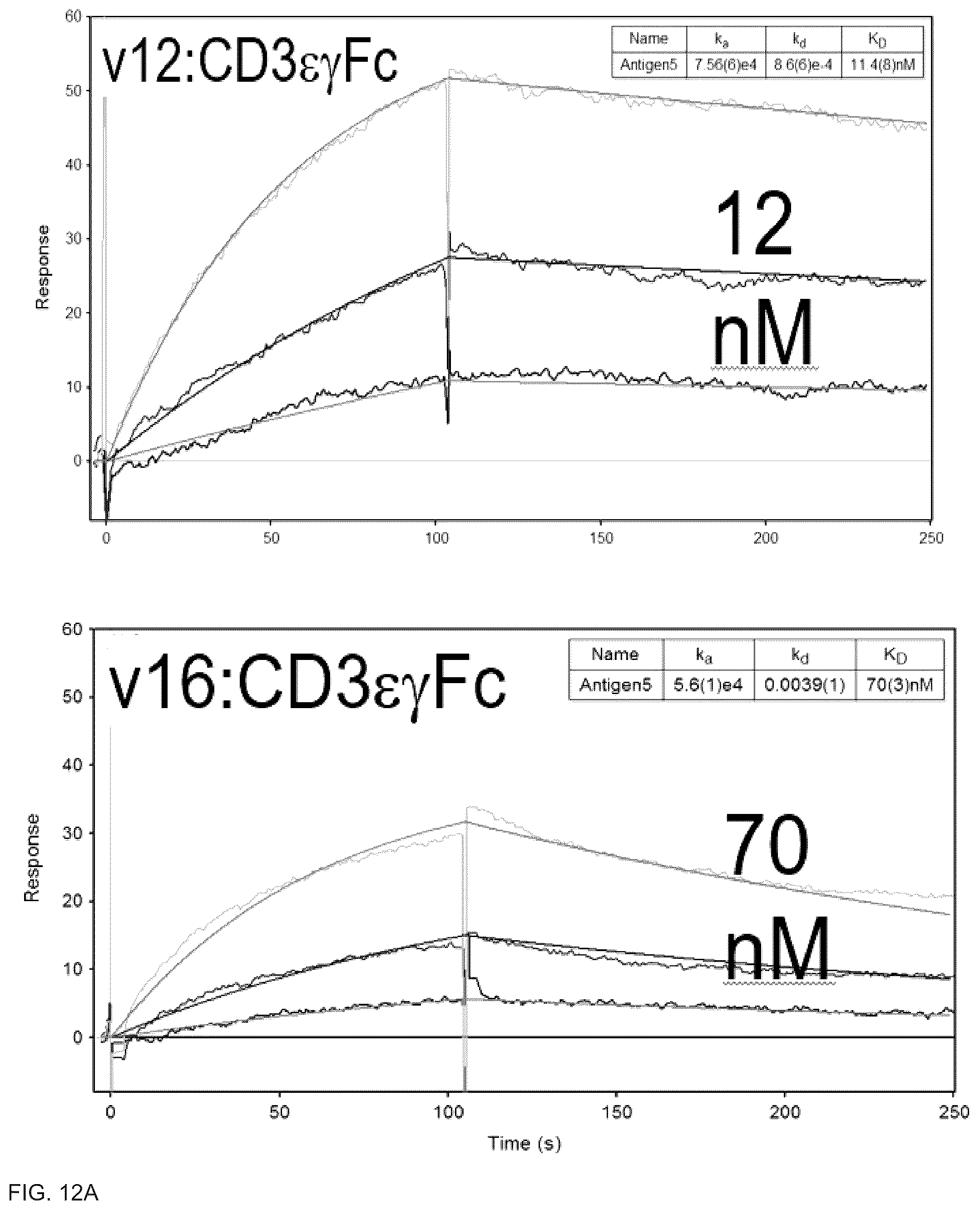 Patent US12460017 Figure 13 – Antibodies, activatable antibodies, bispecific antibodies, and bispecific activatable antibodies and methods of use thereof