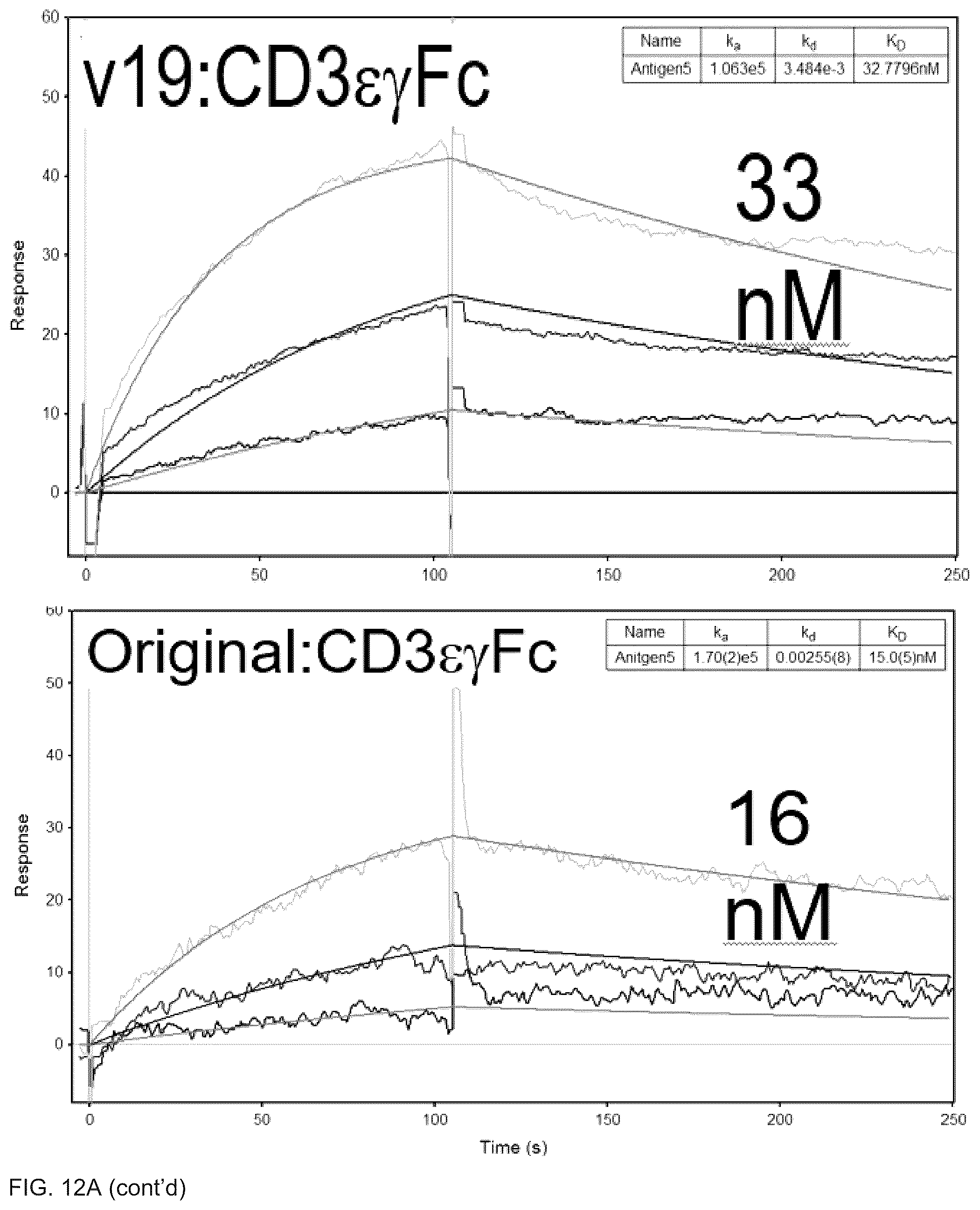 Patent US12460017 Figure 14 – Antibodies, activatable antibodies, bispecific antibodies, and bispecific activatable antibodies and methods of use thereof