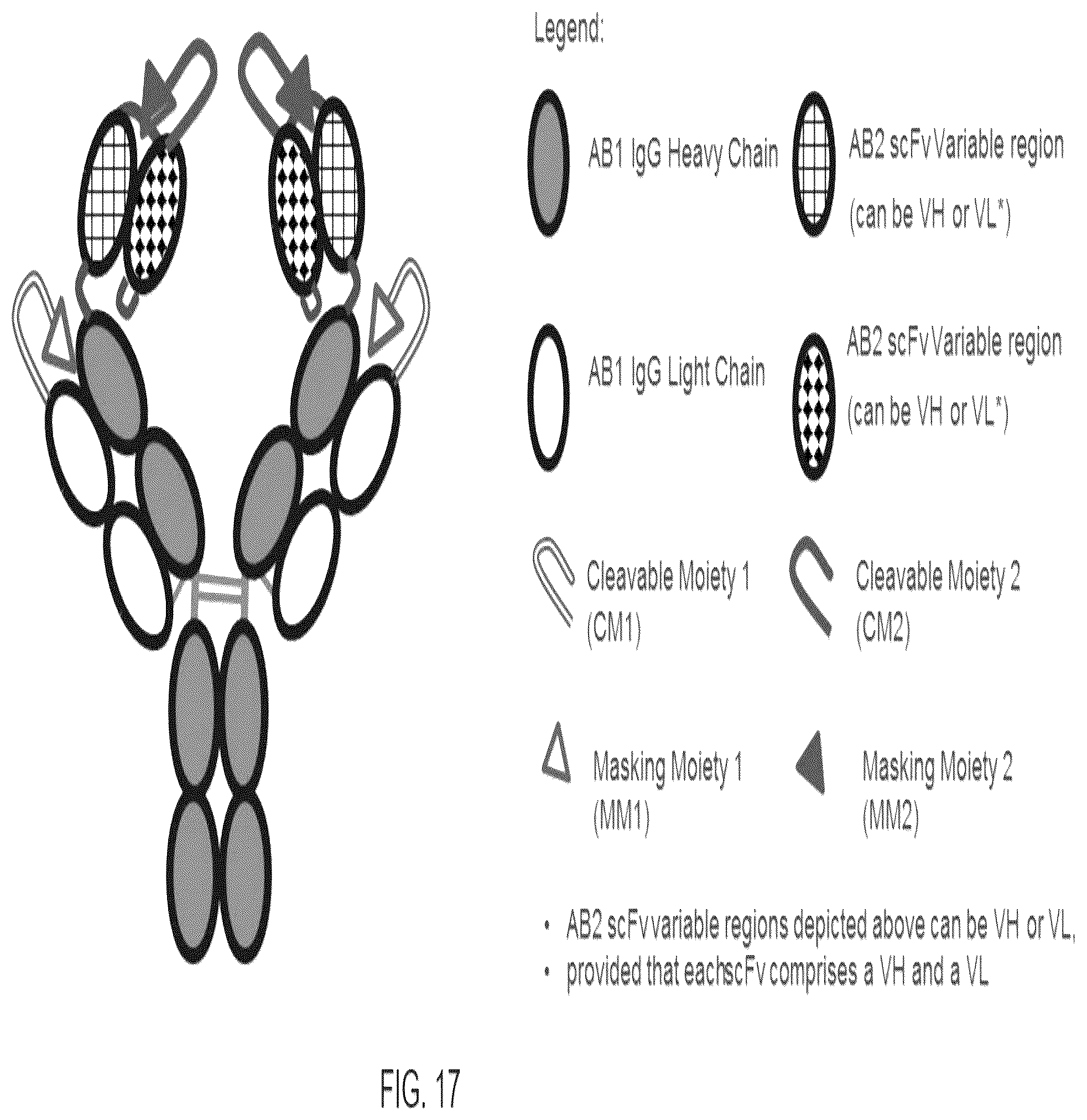 Patent US12460017 Figure 20 – Antibodies, activatable antibodies, bispecific antibodies, and bispecific activatable antibodies and methods of use thereof
