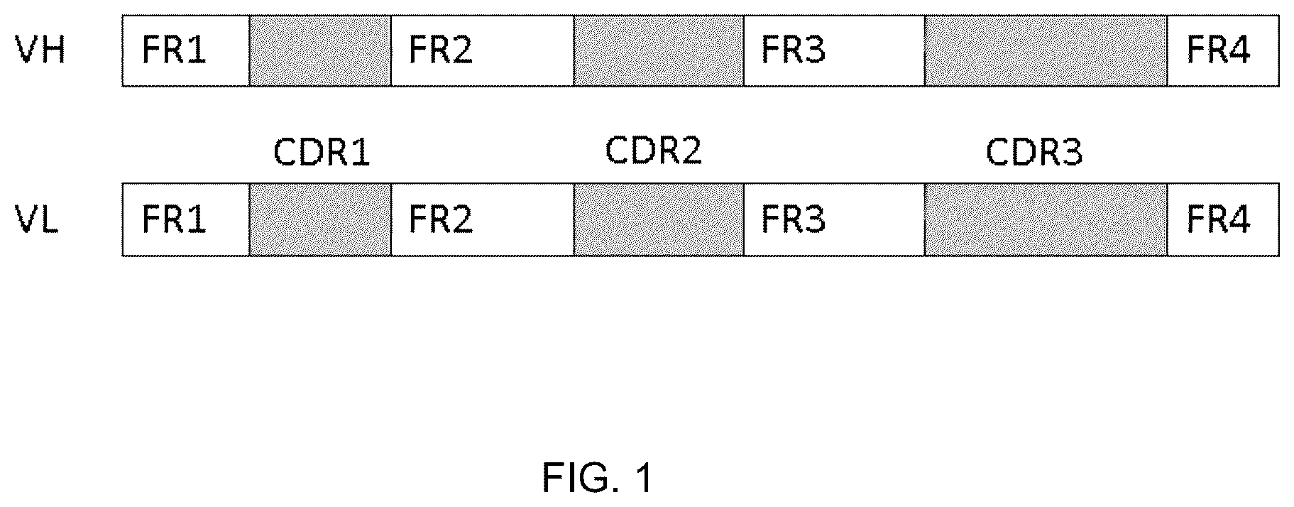 Patent US12460018 Figure 1 – System for generating immunoglobulin scaffolds for grafting non-human CDR amino acid sequences
