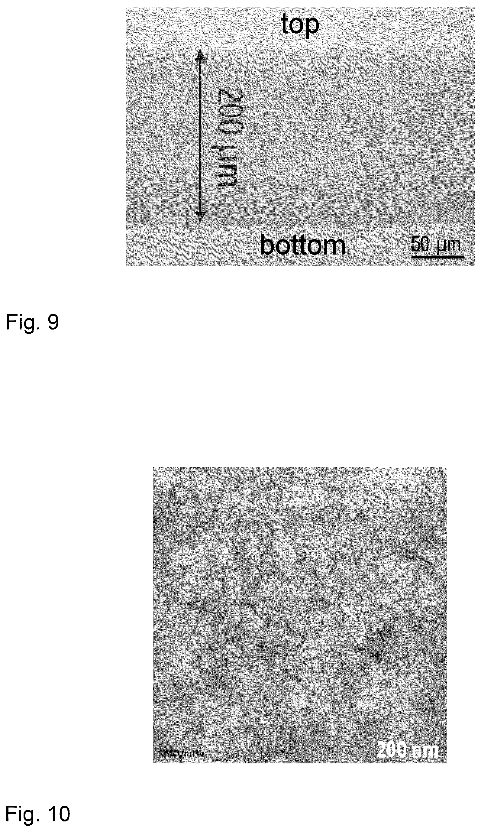 Patent US12460019 Figure 9 – Preparation of regenerated polysaccharides