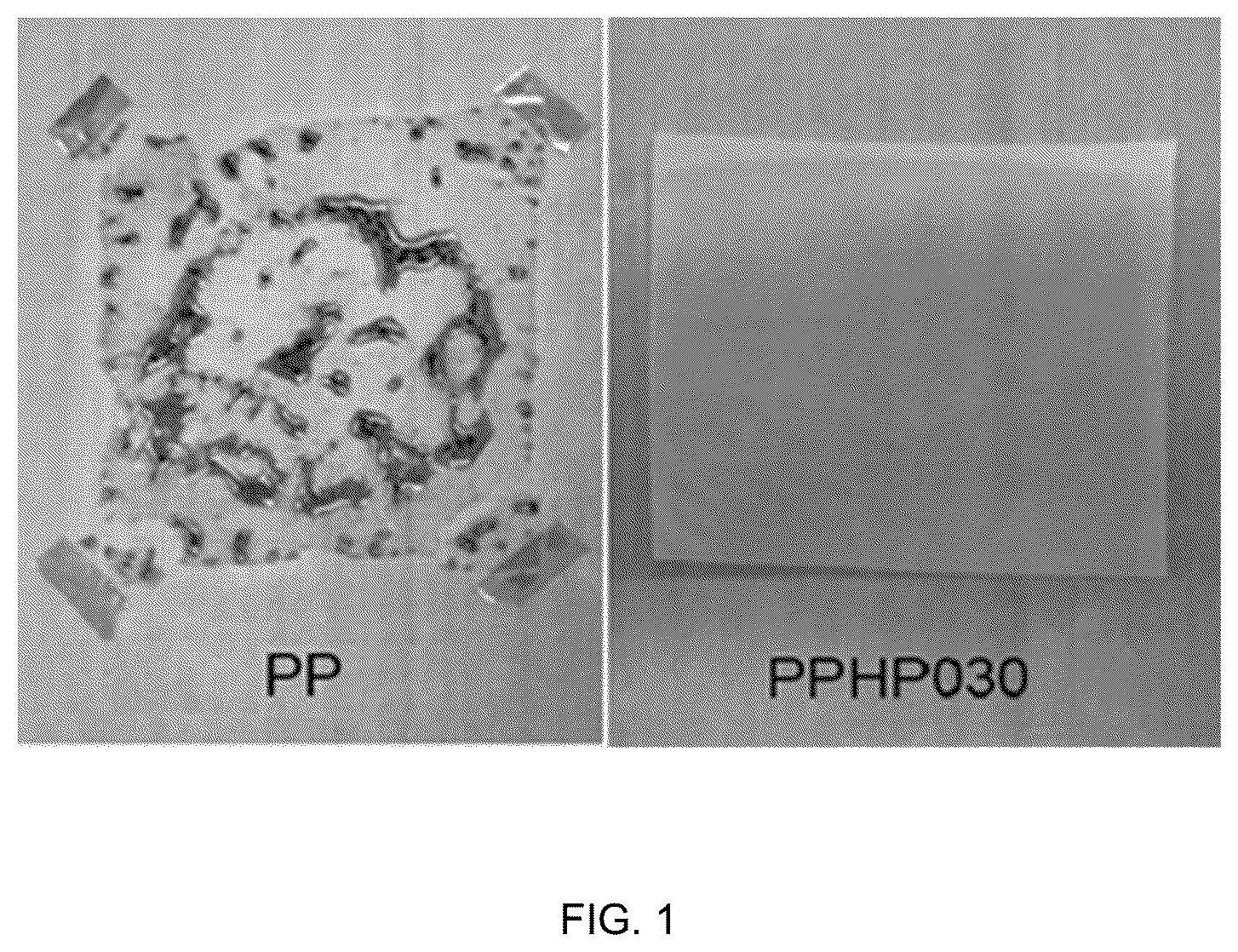Patent US12460024 Figure 1 – Polyolefin polymer incorporating hindered phenol and manufacture thereof