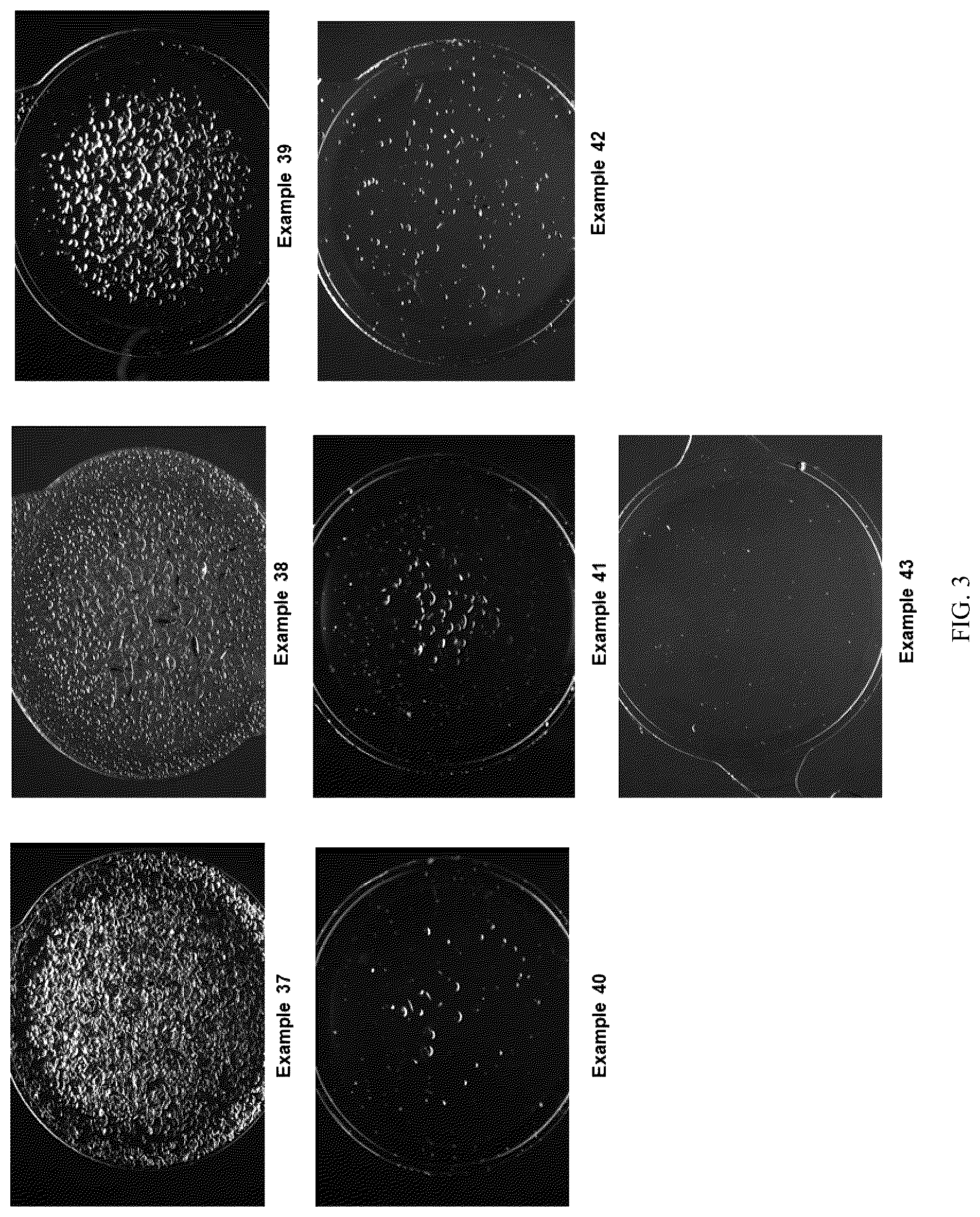 Patent US12460032 Figure 3 – Compositions with high refractive index and Abbe number