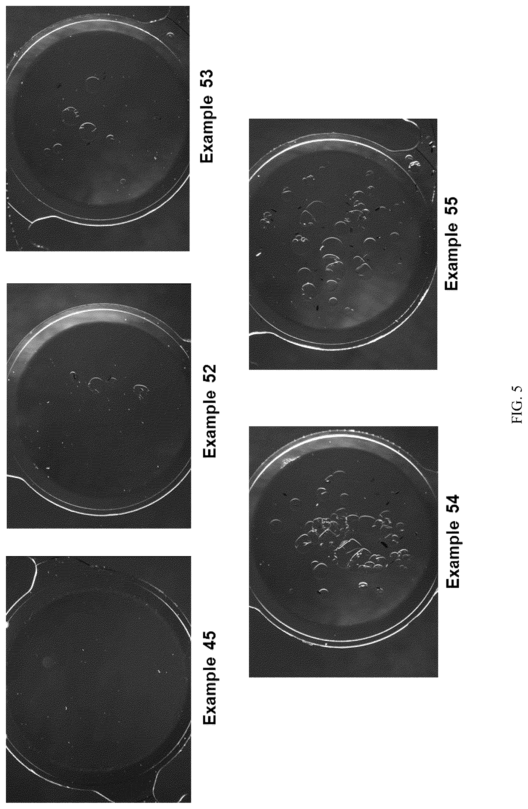Patent US12460032 Figure 5 – Compositions with high refractive index and Abbe number