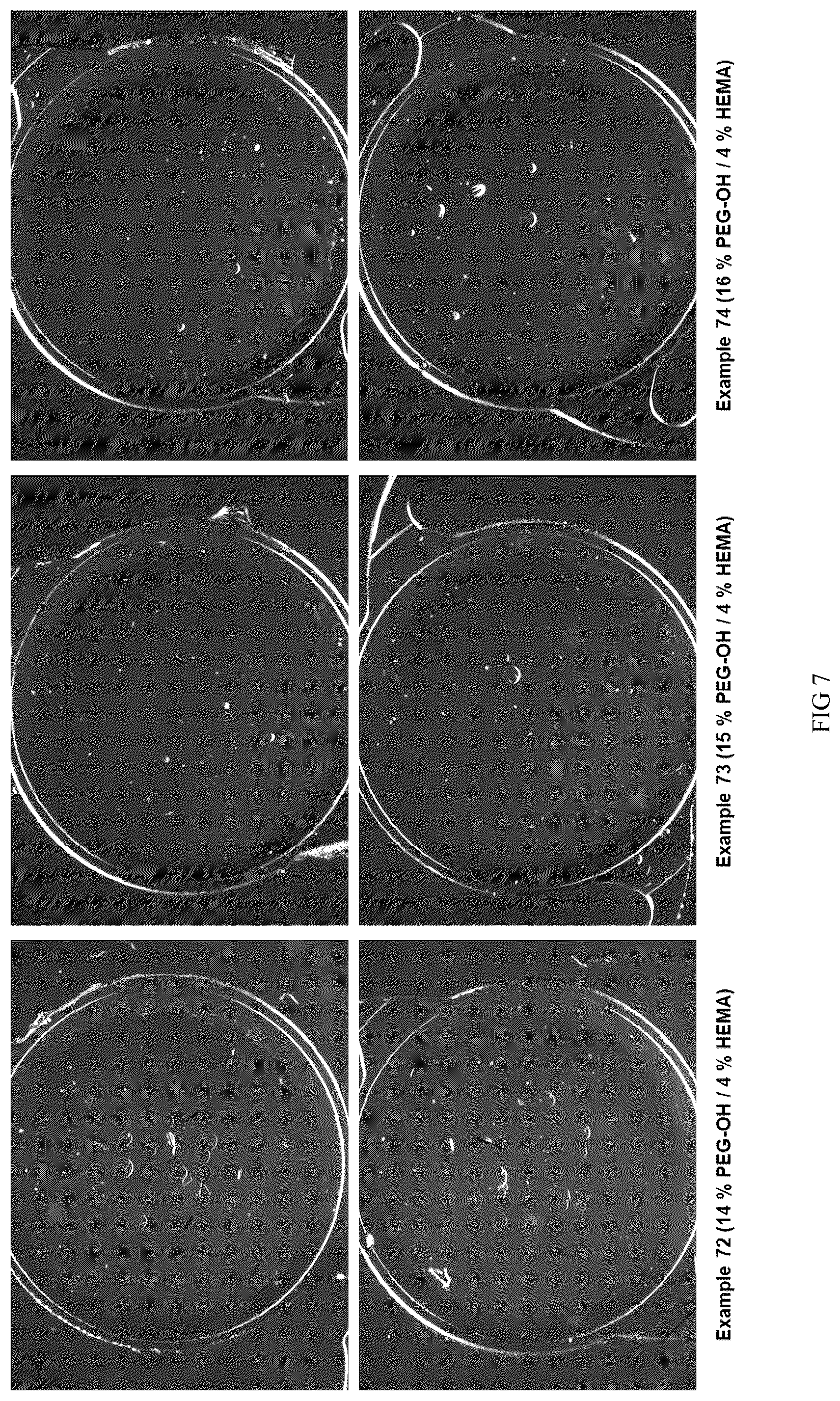 Patent US12460032 Figure 7 – Compositions with high refractive index and Abbe number