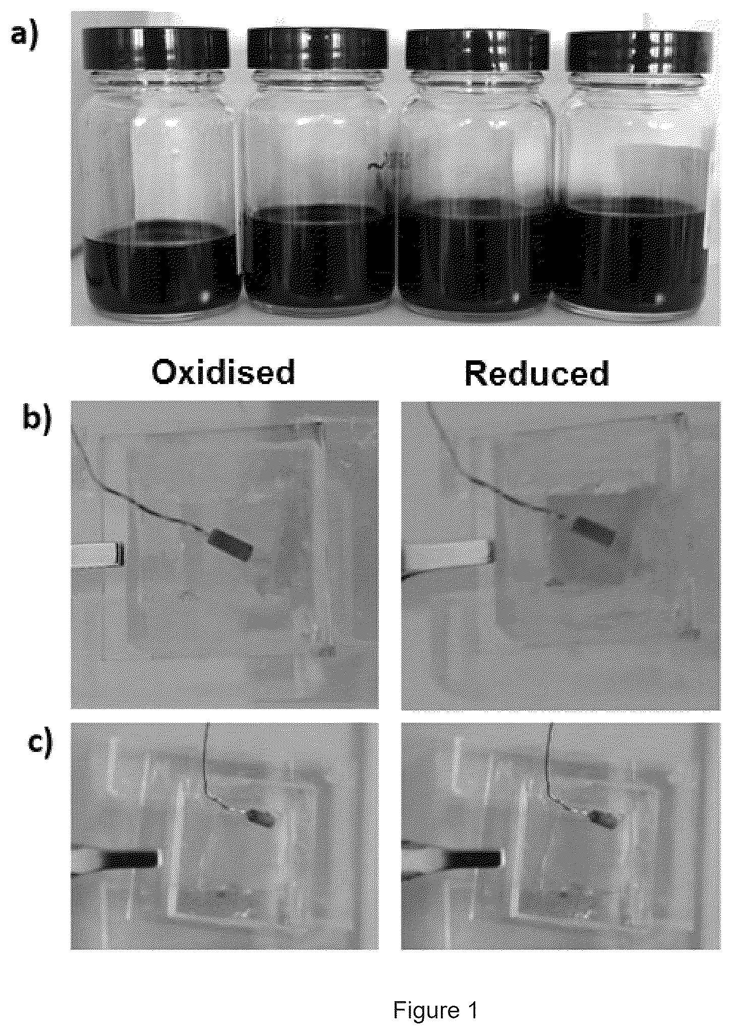 Patent US12460038 — Polymers and the use thereof for detecting ion fluxes — Figure 1