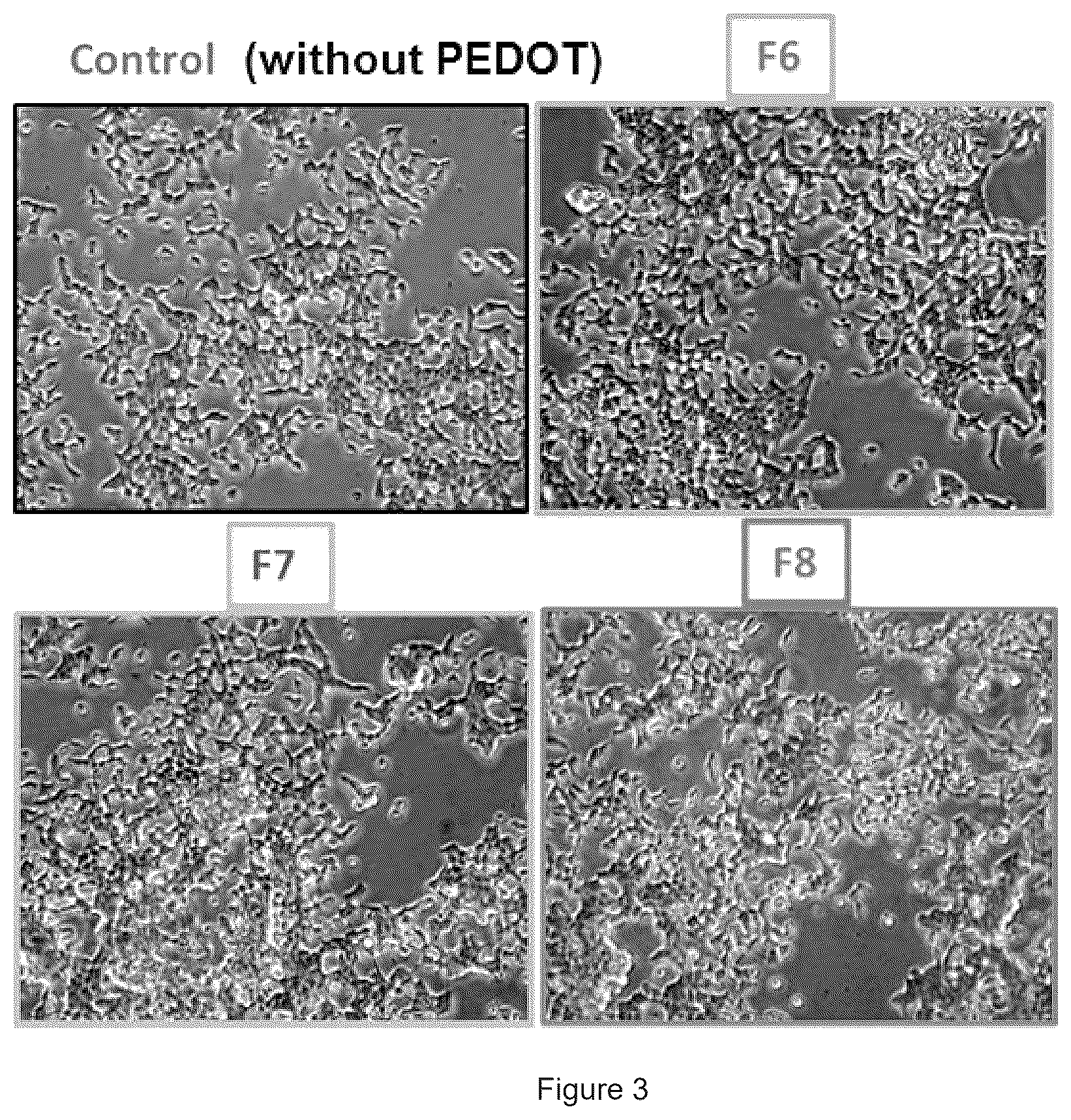 Patent US12460038 Figure 3 – Polymers and the use thereof for detecting ion fluxes