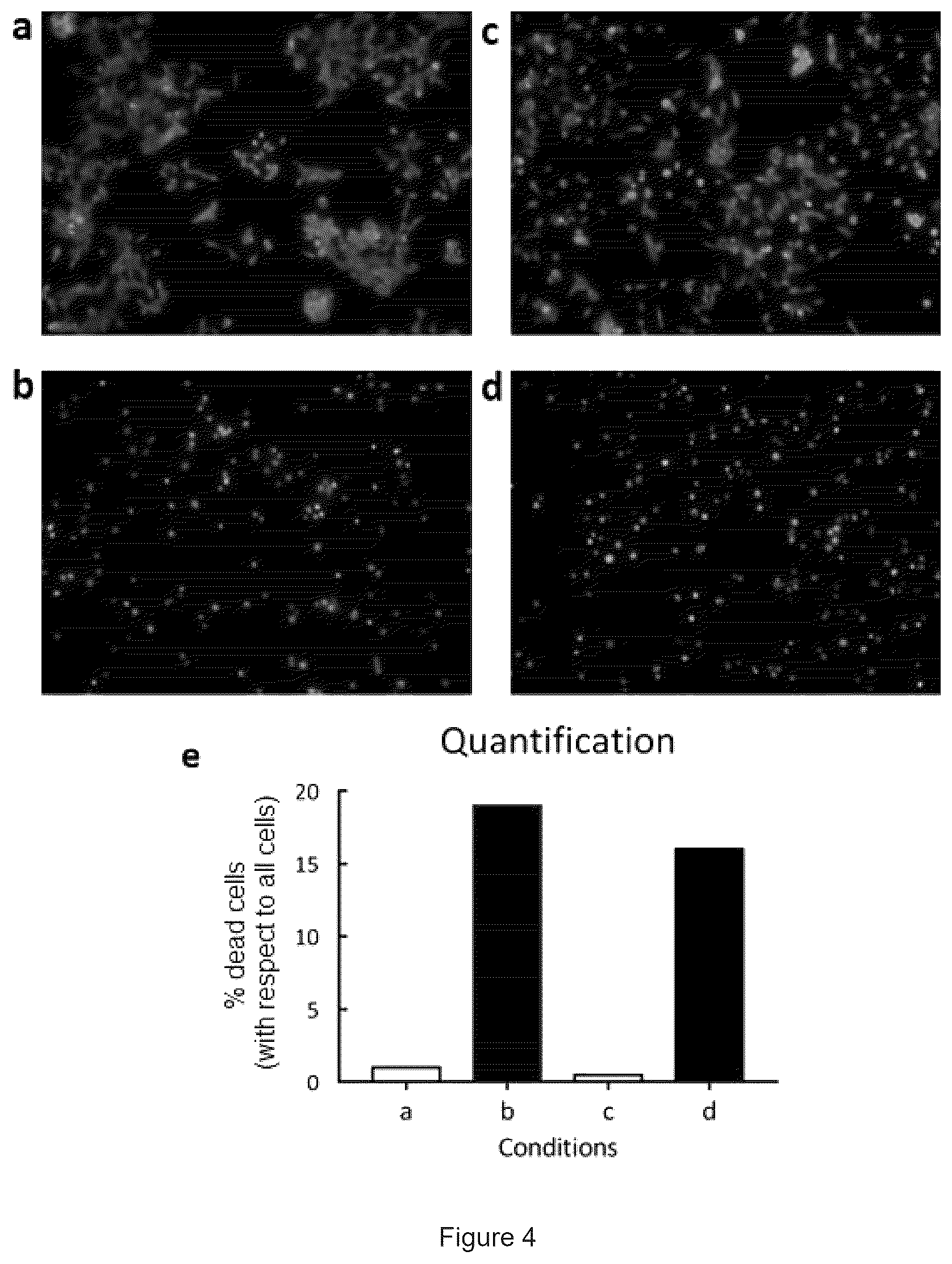 Patent US12460038 Figure 4 – Polymers and the use thereof for detecting ion fluxes
