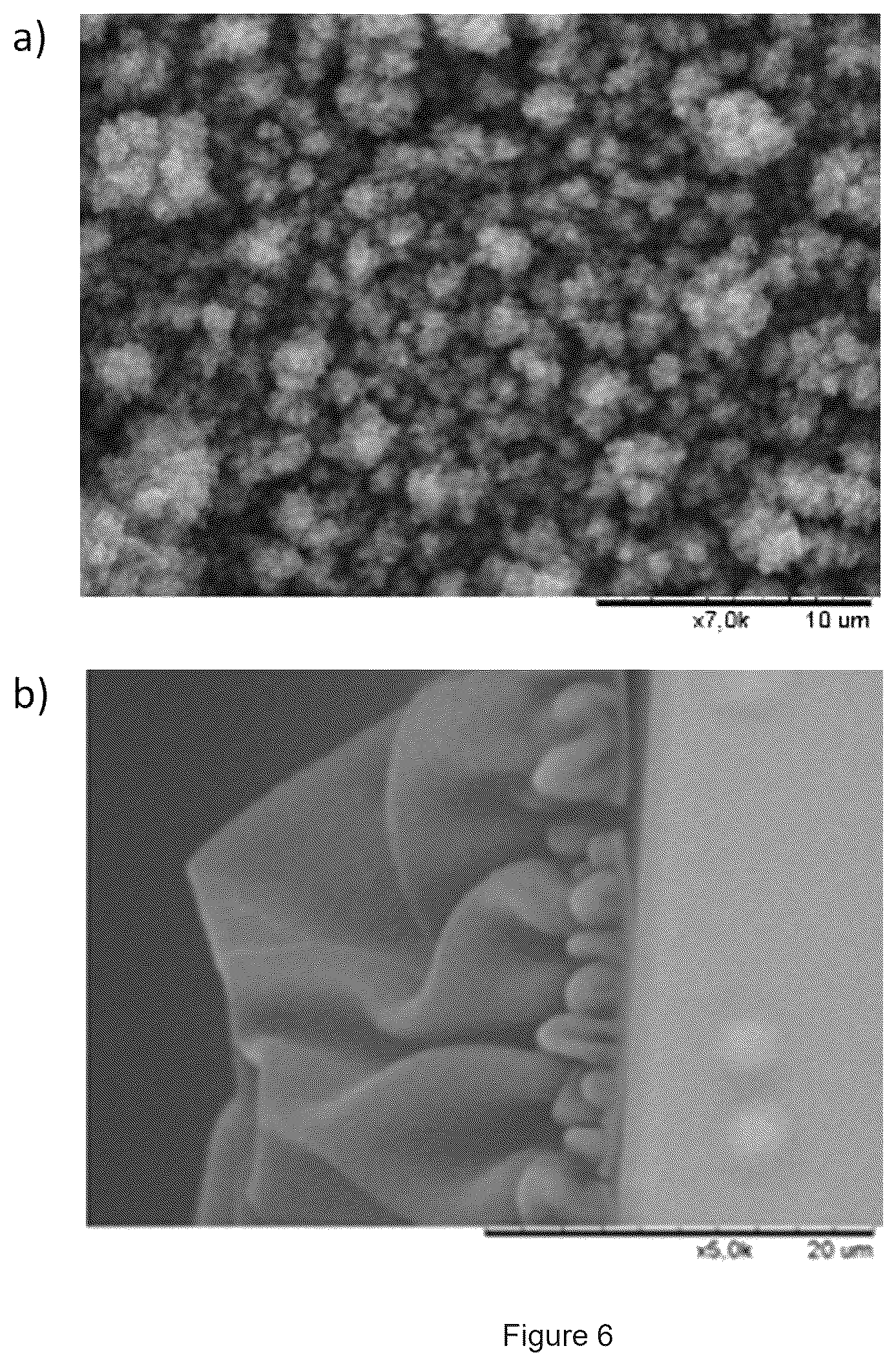 Patent US12460038 Figure 6 – Polymers and the use thereof for detecting ion fluxes