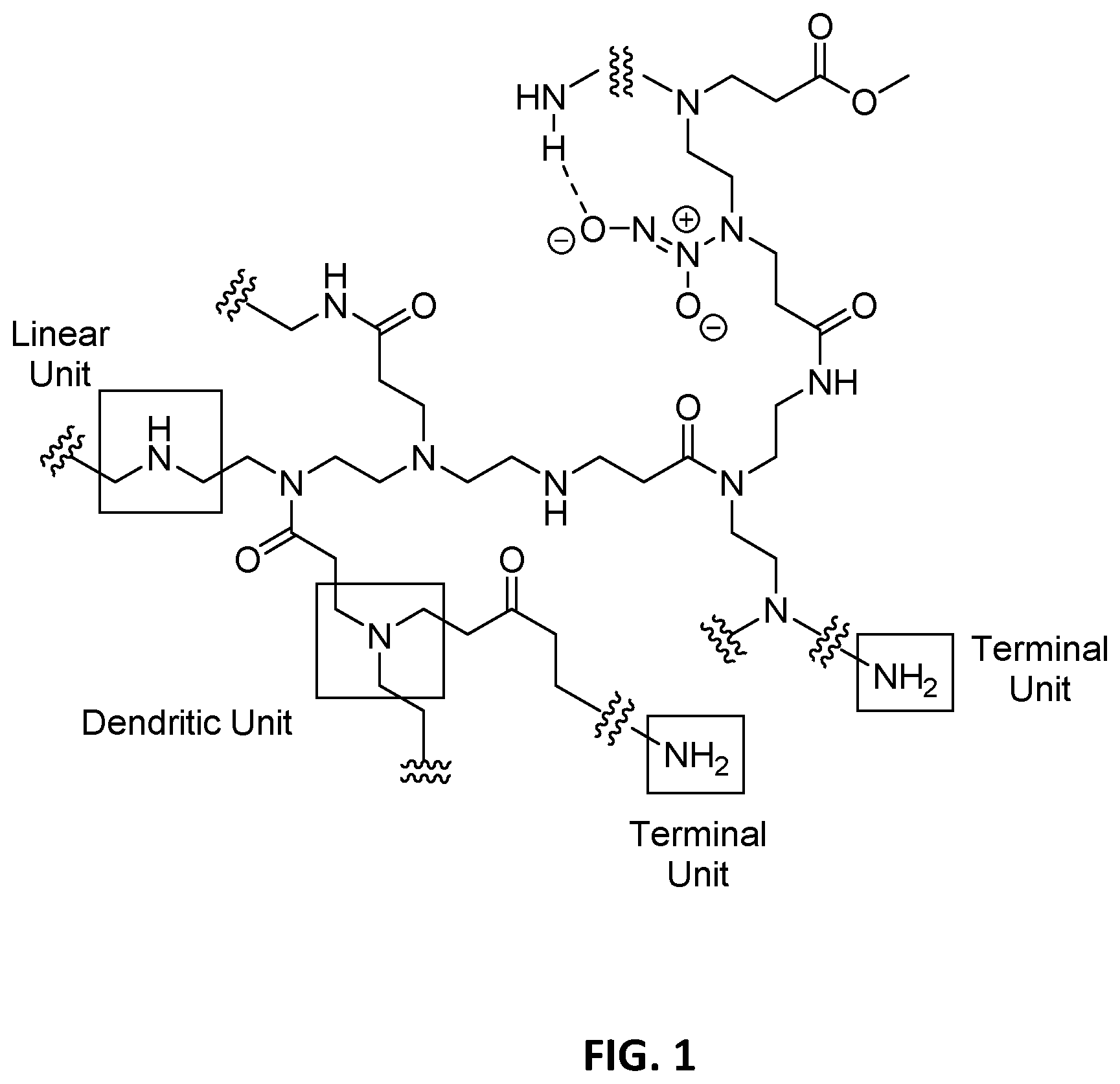 Patent US12460050 — Nitric oxide-releasing hyperbranched compounds as antibacterial scaffolds and methods pertaining thereto — Figure 1
