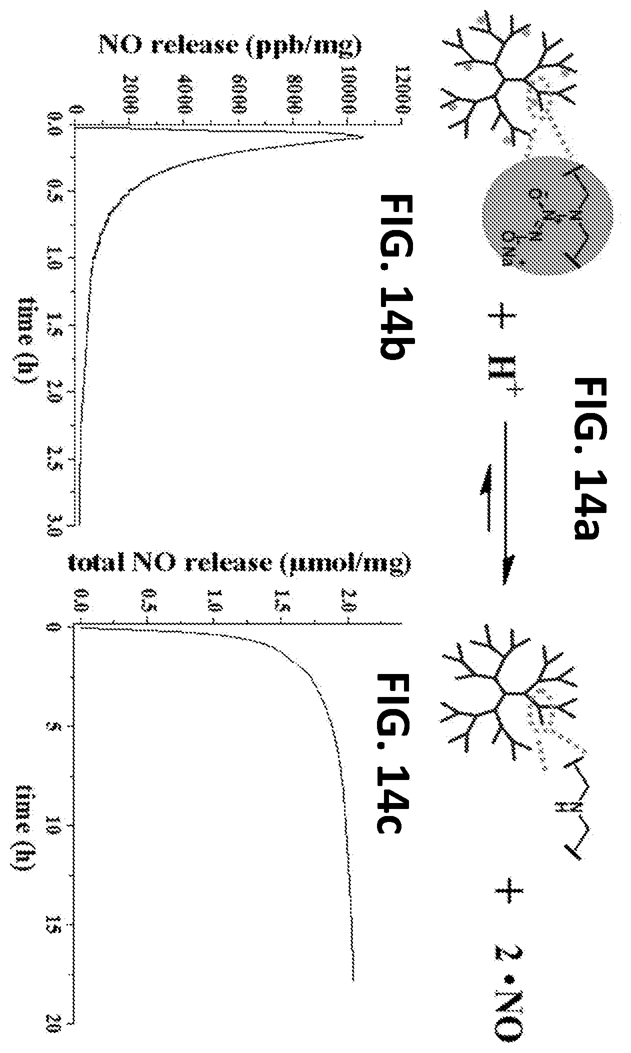 Patent US12460050 Figure 15 – Nitric oxide-releasing hyperbranched compounds as antibacterial scaffolds and methods pertaining thereto