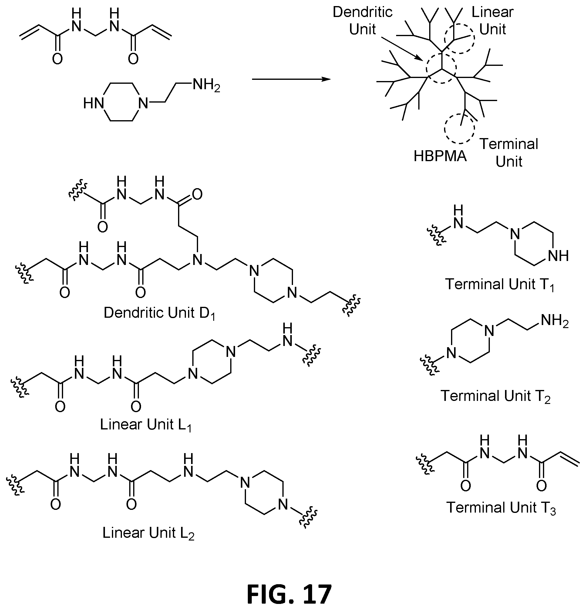 Patent US12460050 Figure 18 – Nitric oxide-releasing hyperbranched compounds as antibacterial scaffolds and methods pertaining thereto