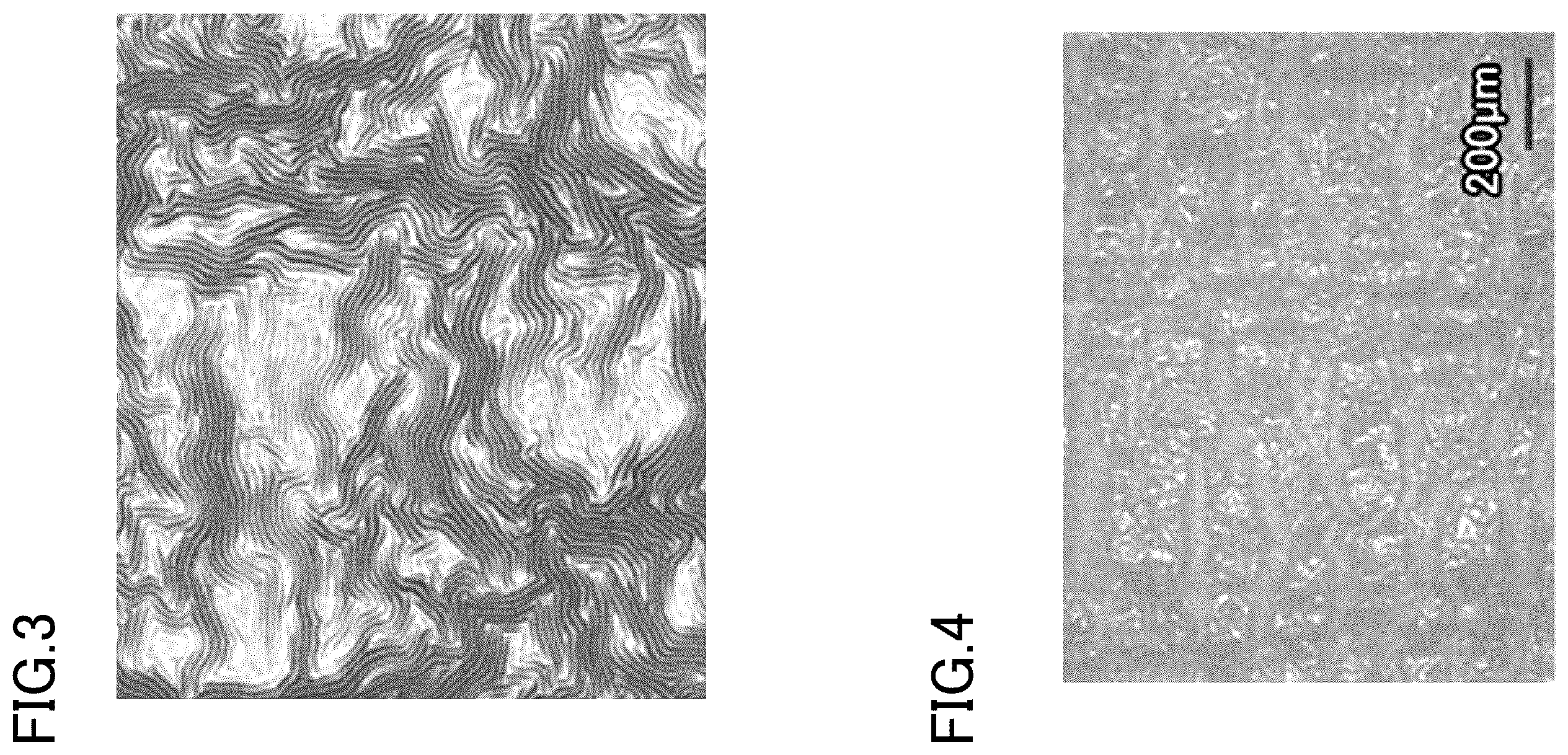 Patent US12460059 Figure 2 – Decorative sheet