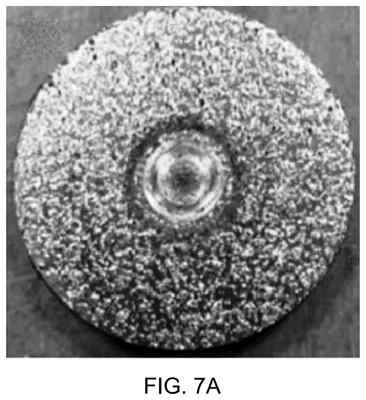 Patent US12460070 Figure 17 – Method of preparing a composite coated substrate