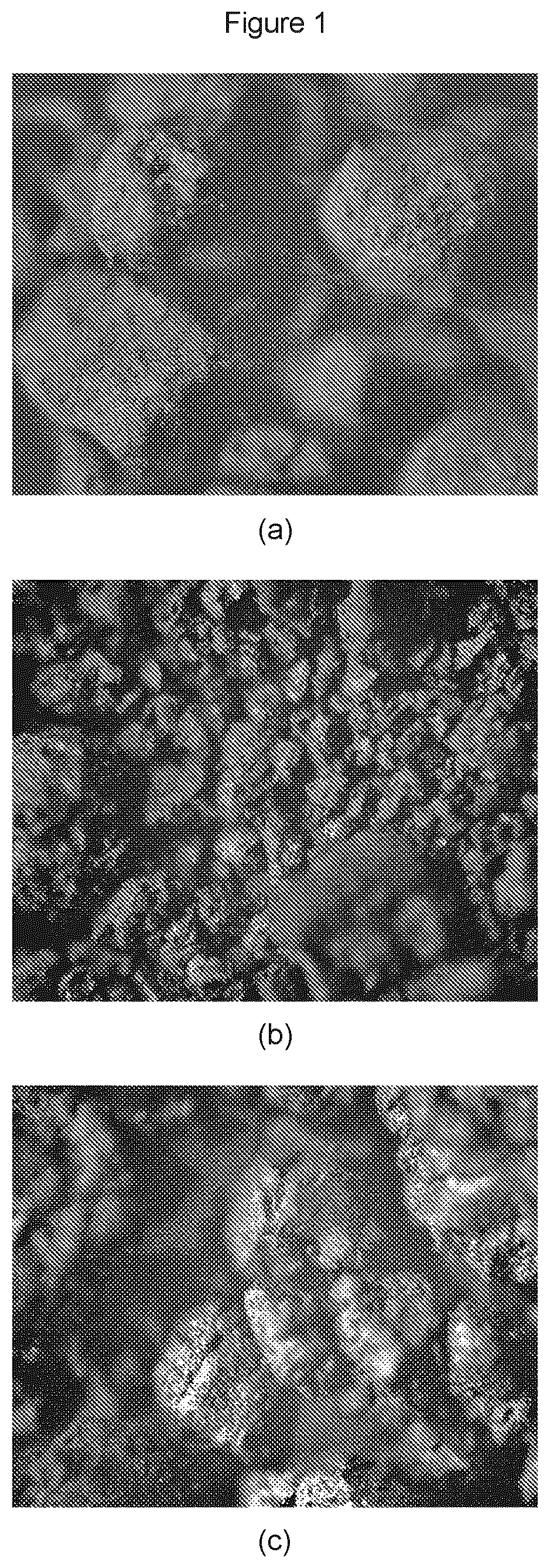 Patent US12460083 Figure 1 – Surface modified carbon black to simultaneously improve rolling resistance, wet traction, and wear resistance