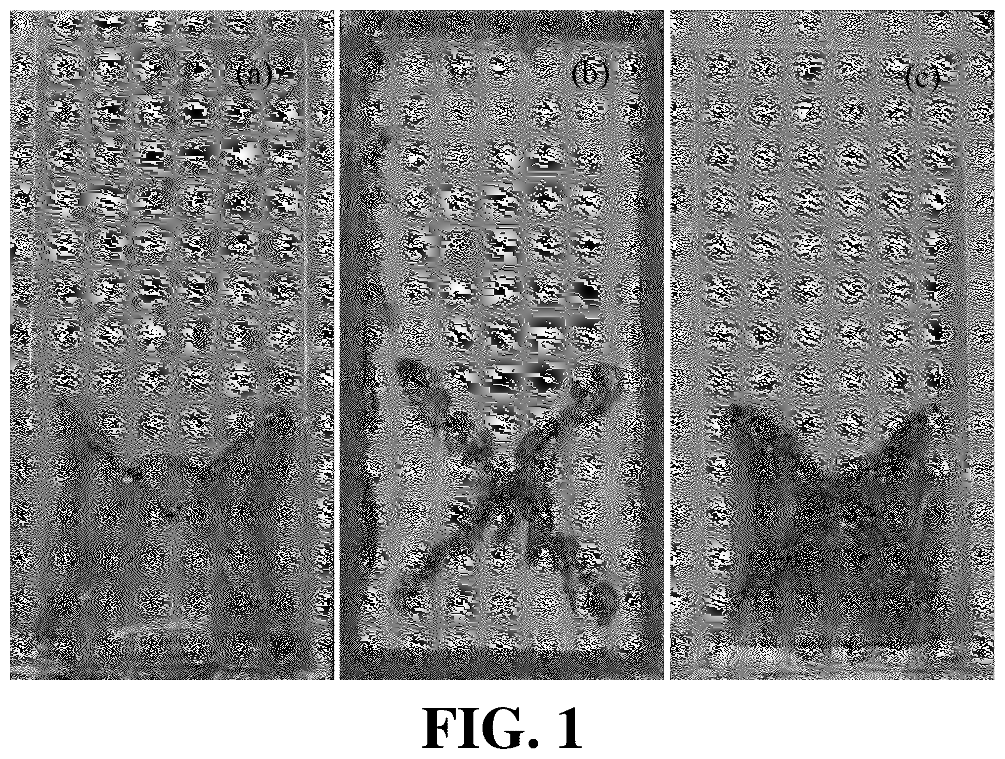 Patent US12460090 — Protective coating layer, and preparation method and use thereof — Figure 1