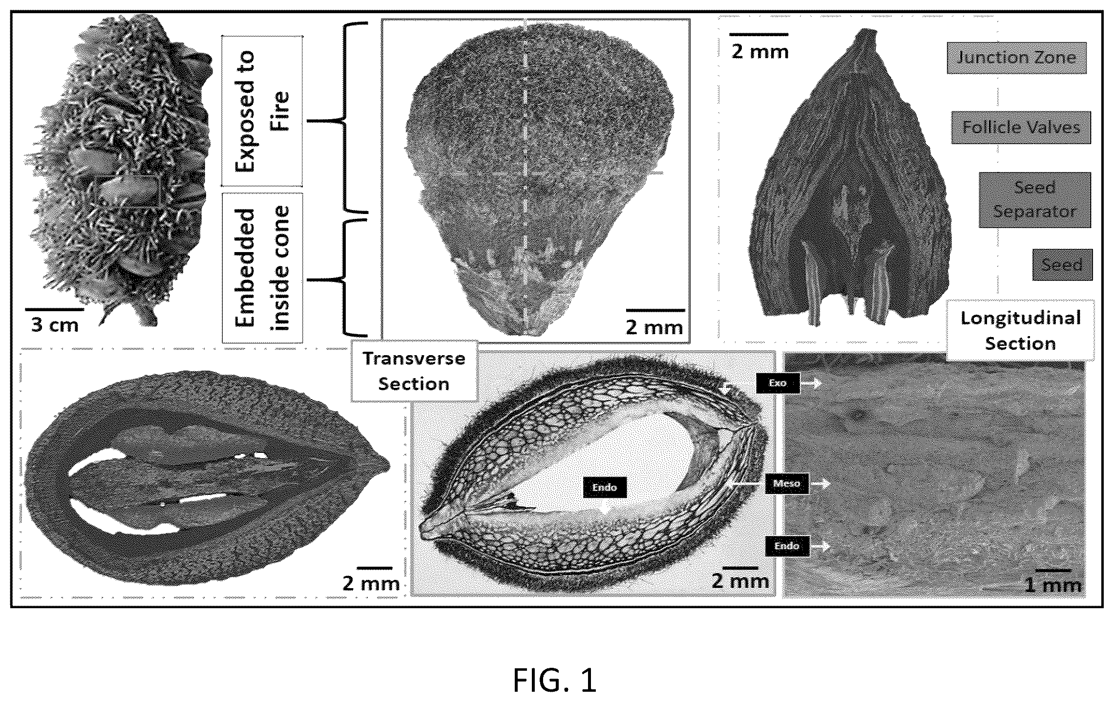 Patent US12460092 Figure 1 – Multimodal coatings for heat and fire resistance