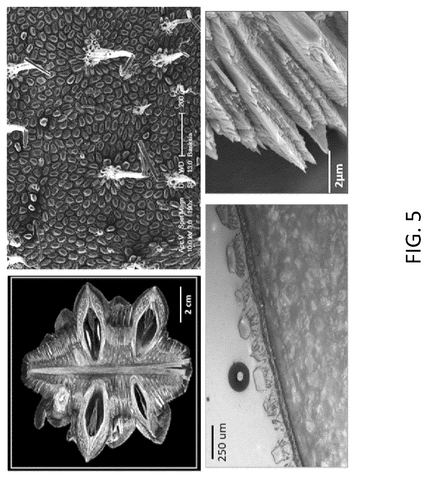 Patent US12460092 Figure 5 – Multimodal coatings for heat and fire resistance