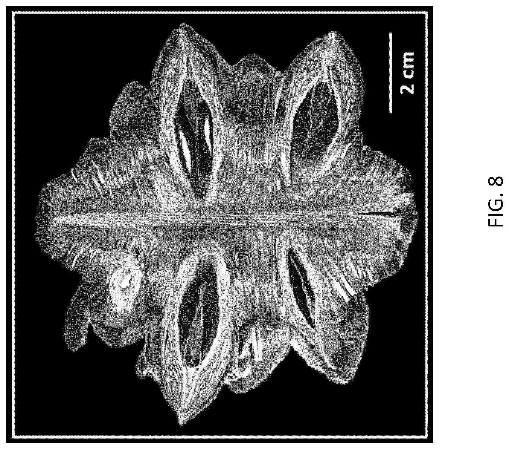 Patent US12460092 Figure 8 – Multimodal coatings for heat and fire resistance