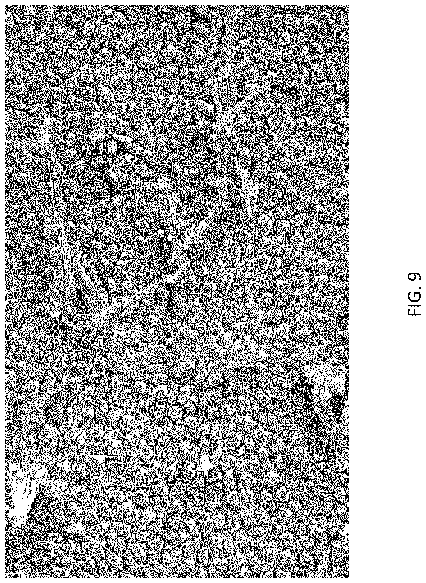 Patent US12460092 Figure 9 – Multimodal coatings for heat and fire resistance