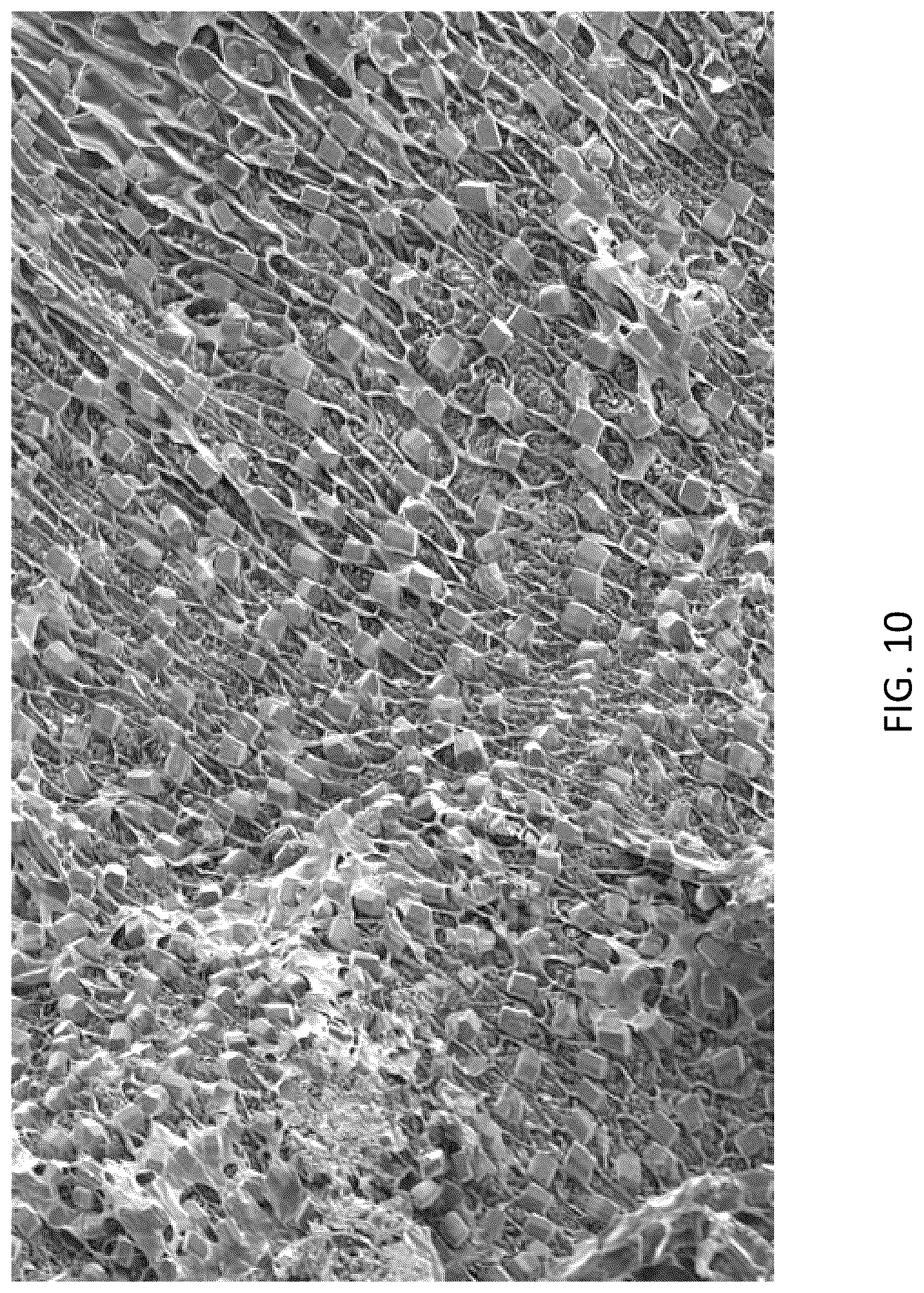 Patent US12460092 Figure 10 – Multimodal coatings for heat and fire resistance