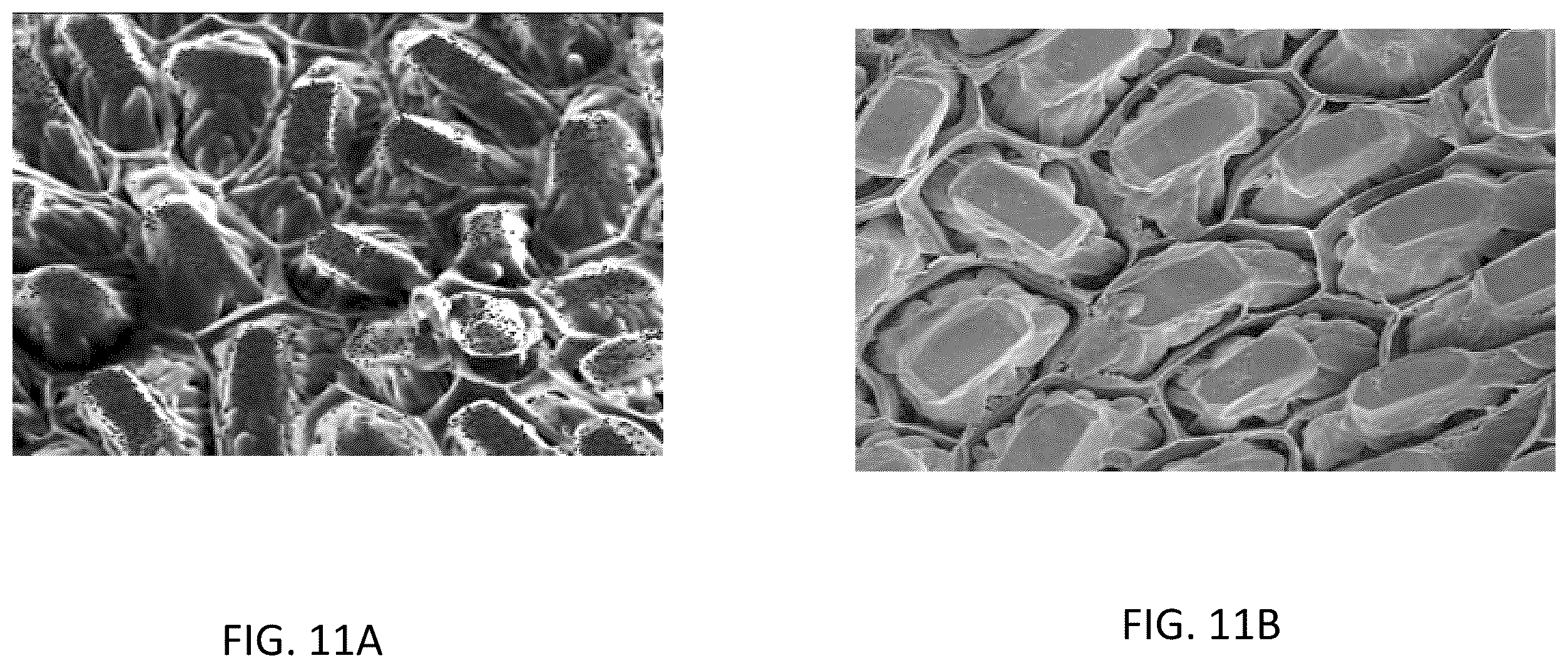 Patent US12460092 Figure 11 – Multimodal coatings for heat and fire resistance