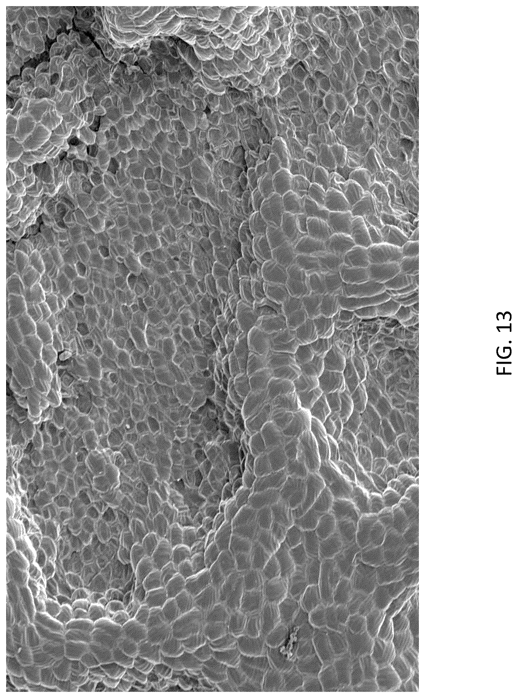 Patent US12460092 Figure 13 – Multimodal coatings for heat and fire resistance