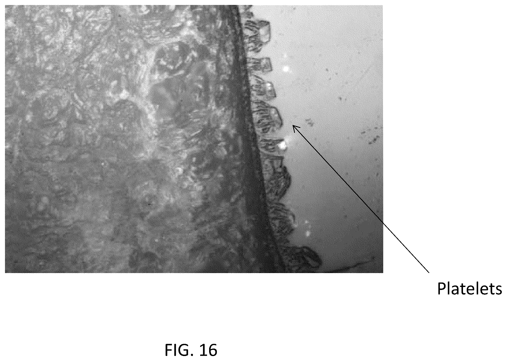 Patent US12460092 Figure 16 – Multimodal coatings for heat and fire resistance