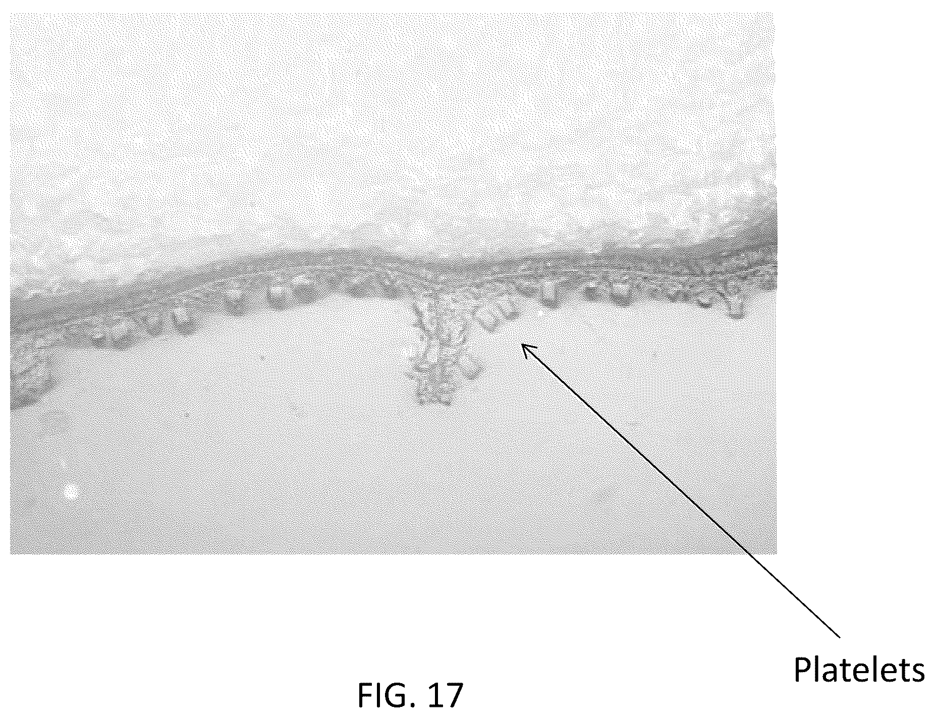 Patent US12460092 Figure 17 – Multimodal coatings for heat and fire resistance