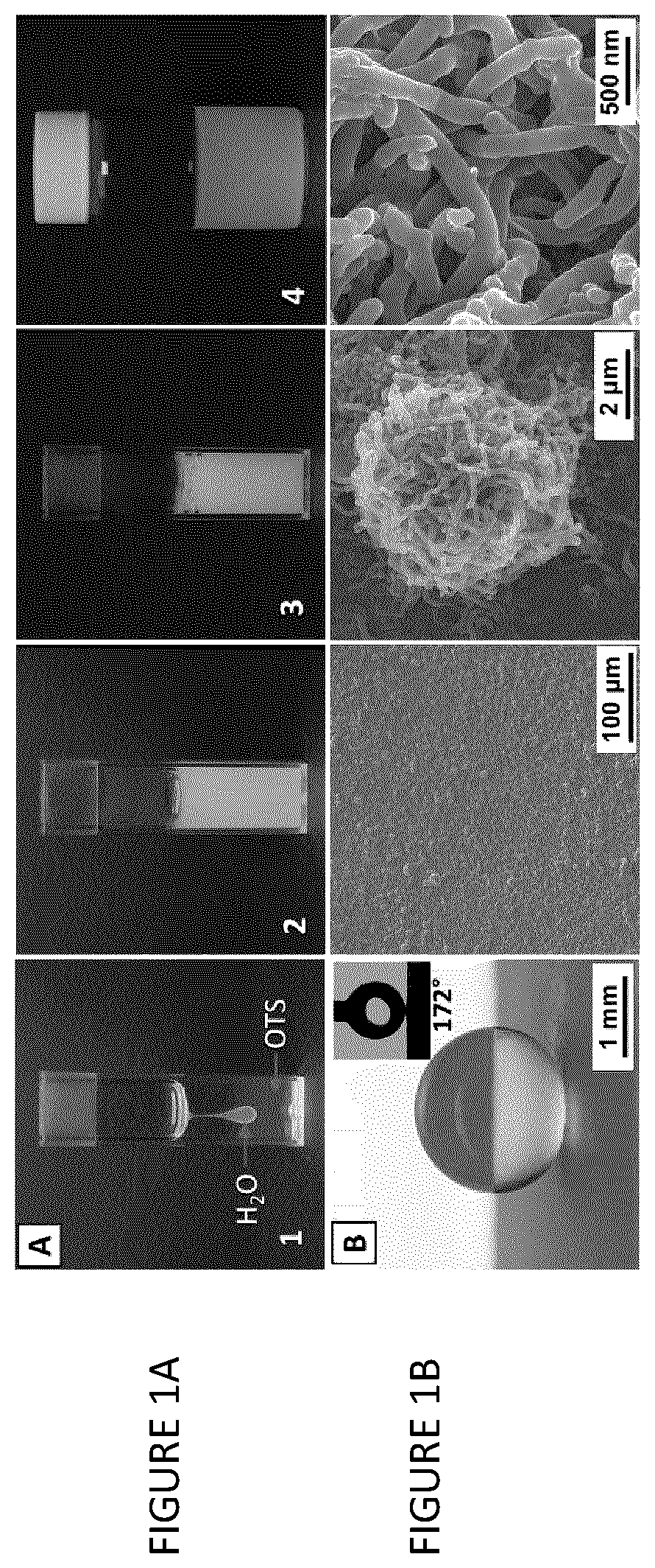 Patent US12460105 — Hydrophobic and superhydrophobic coatings and methods thereof — Figure 1