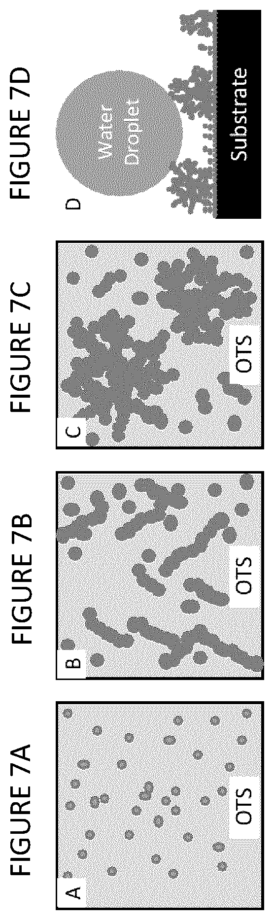 Patent US12460105 Figure 7 – Hydrophobic and superhydrophobic coatings and methods thereof