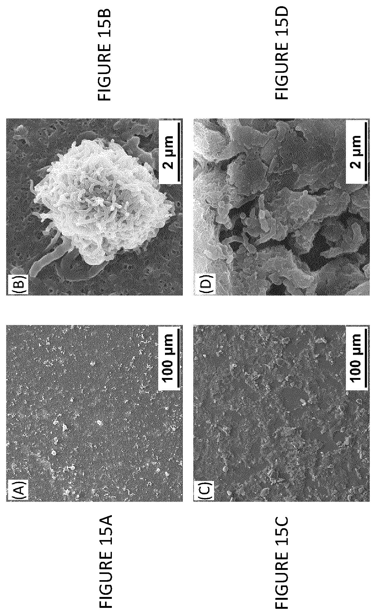 Patent US12460105 Figure 15 – Hydrophobic and superhydrophobic coatings and methods thereof