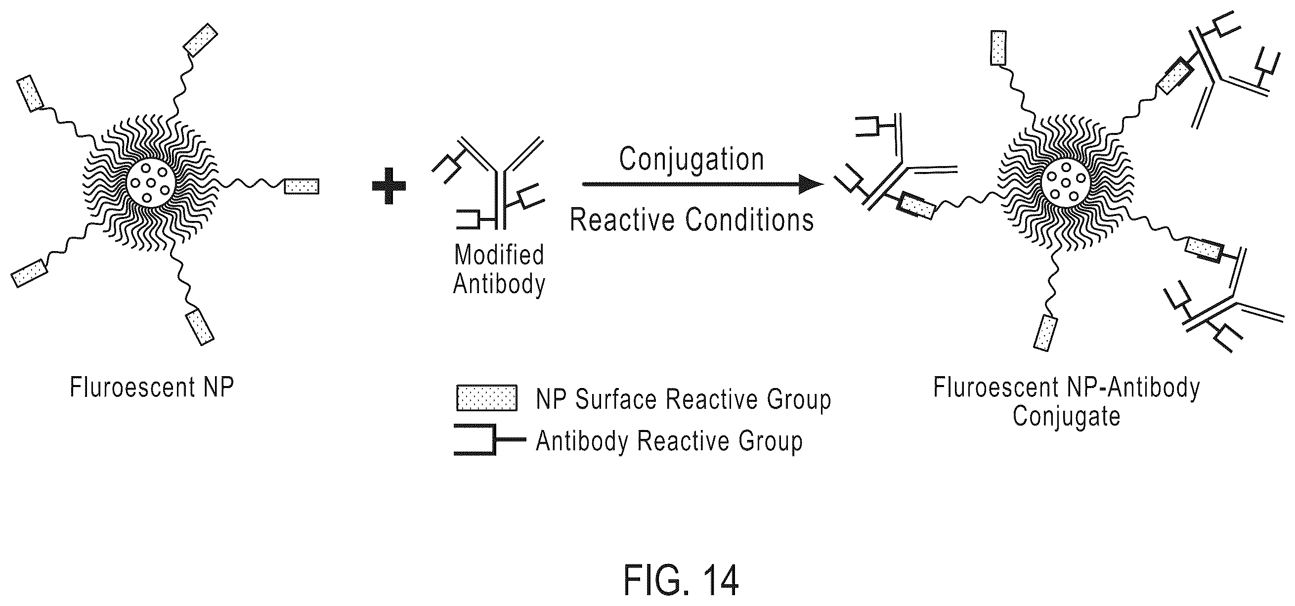 Patent US12460124 Figure 8 – Fluorescent particles