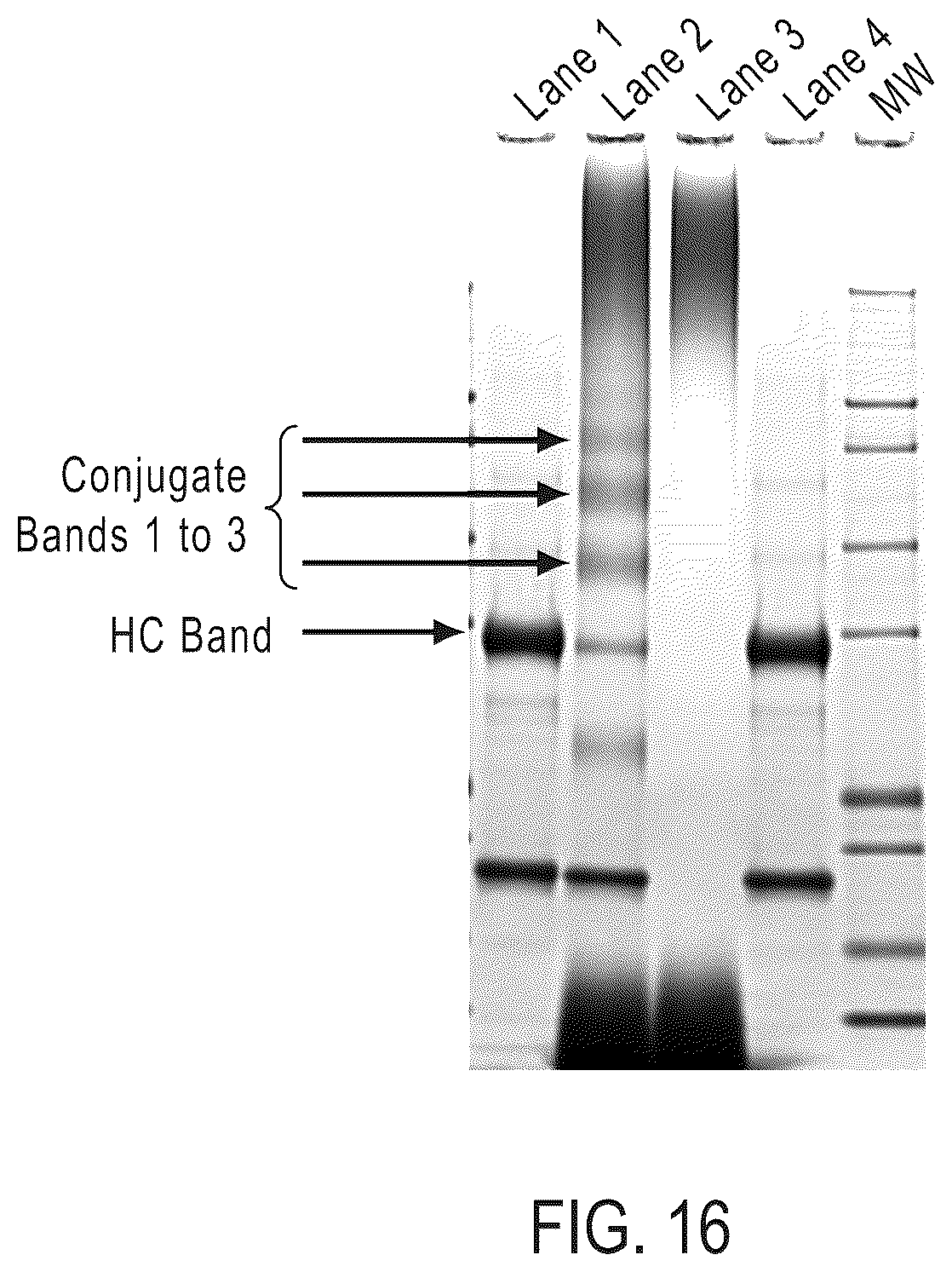Patent US12460124 Figure 10 – Fluorescent particles