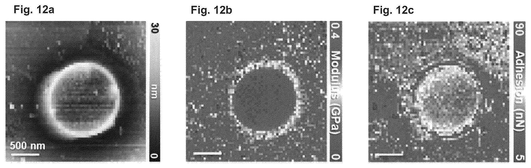 Patent US12460146 Figure 12 – Methods of generating a lubrication interface, methods of enhanching lubrication of moving parts and lubricants