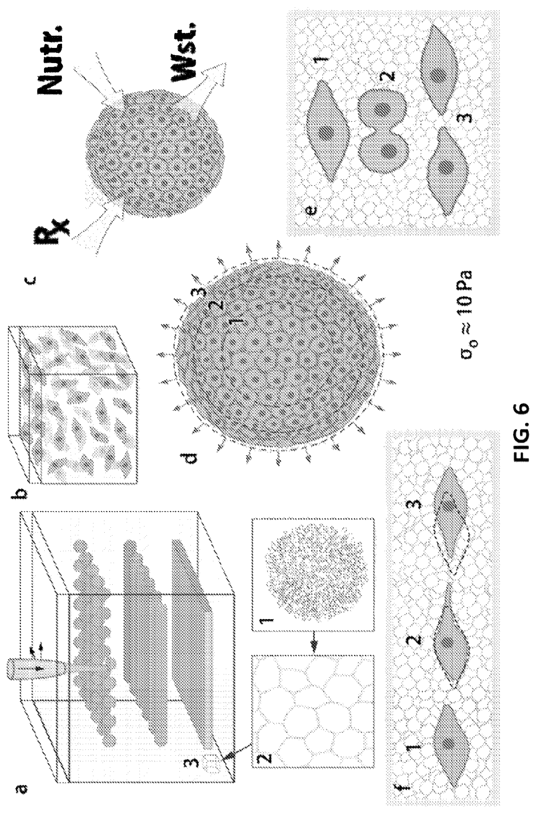 Patent US12460165 Figure 6 – Growth media for three-dimensional cell culture