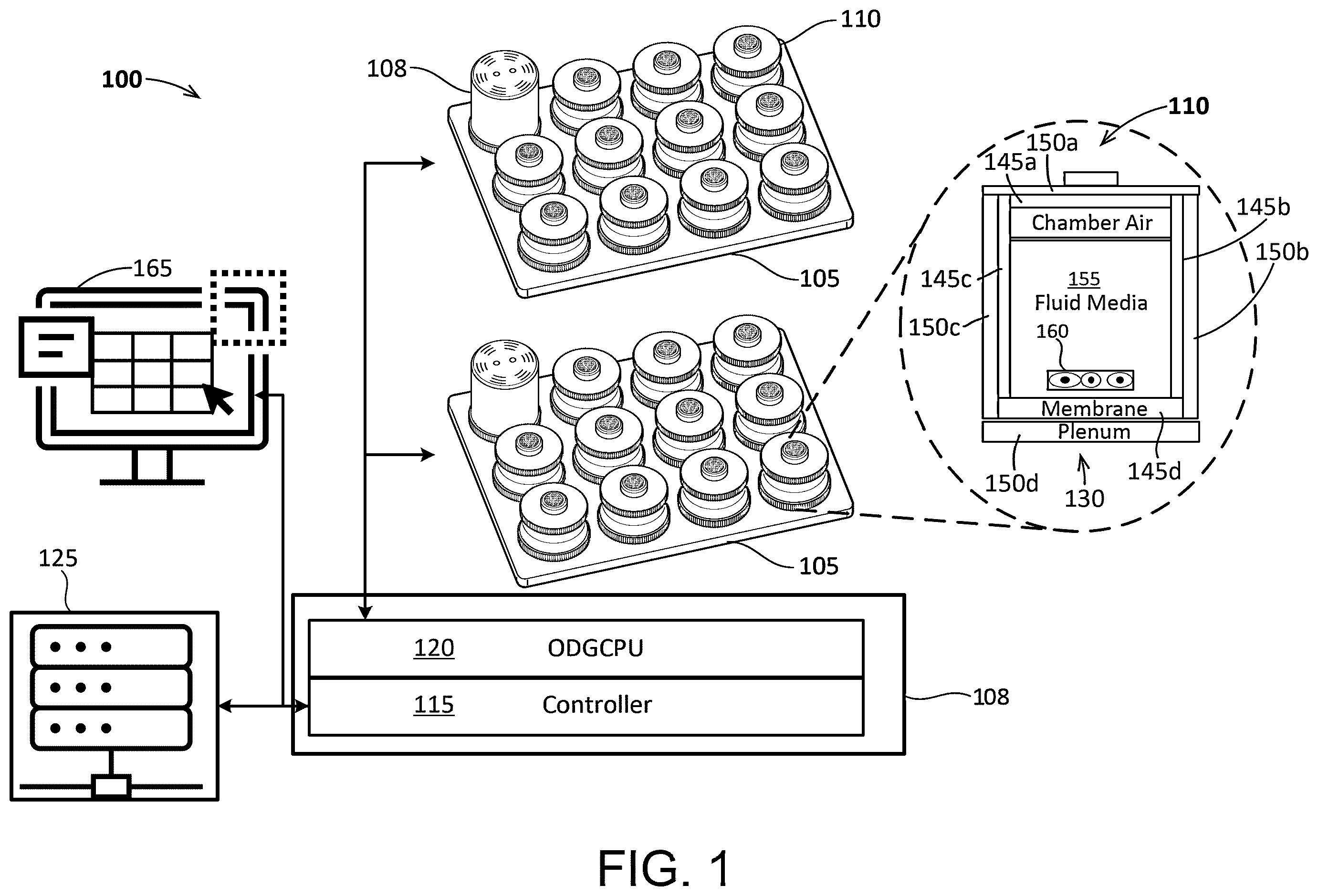 Patent US12460166 Figure 1 – Cell culture system with controlled gas transfer boundary conditions