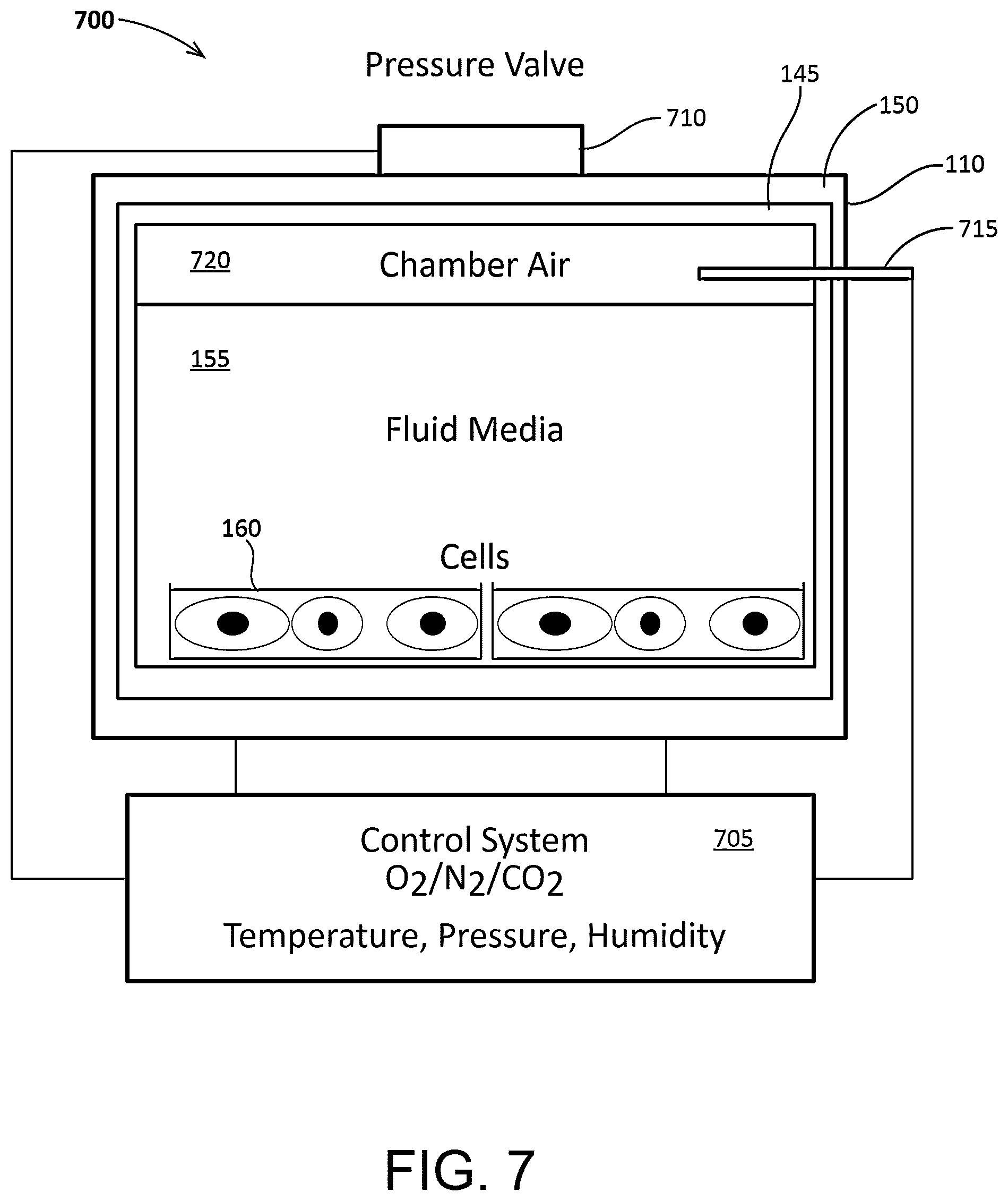 Patent US12460166 Figure 7 – Cell culture system with controlled gas transfer boundary conditions