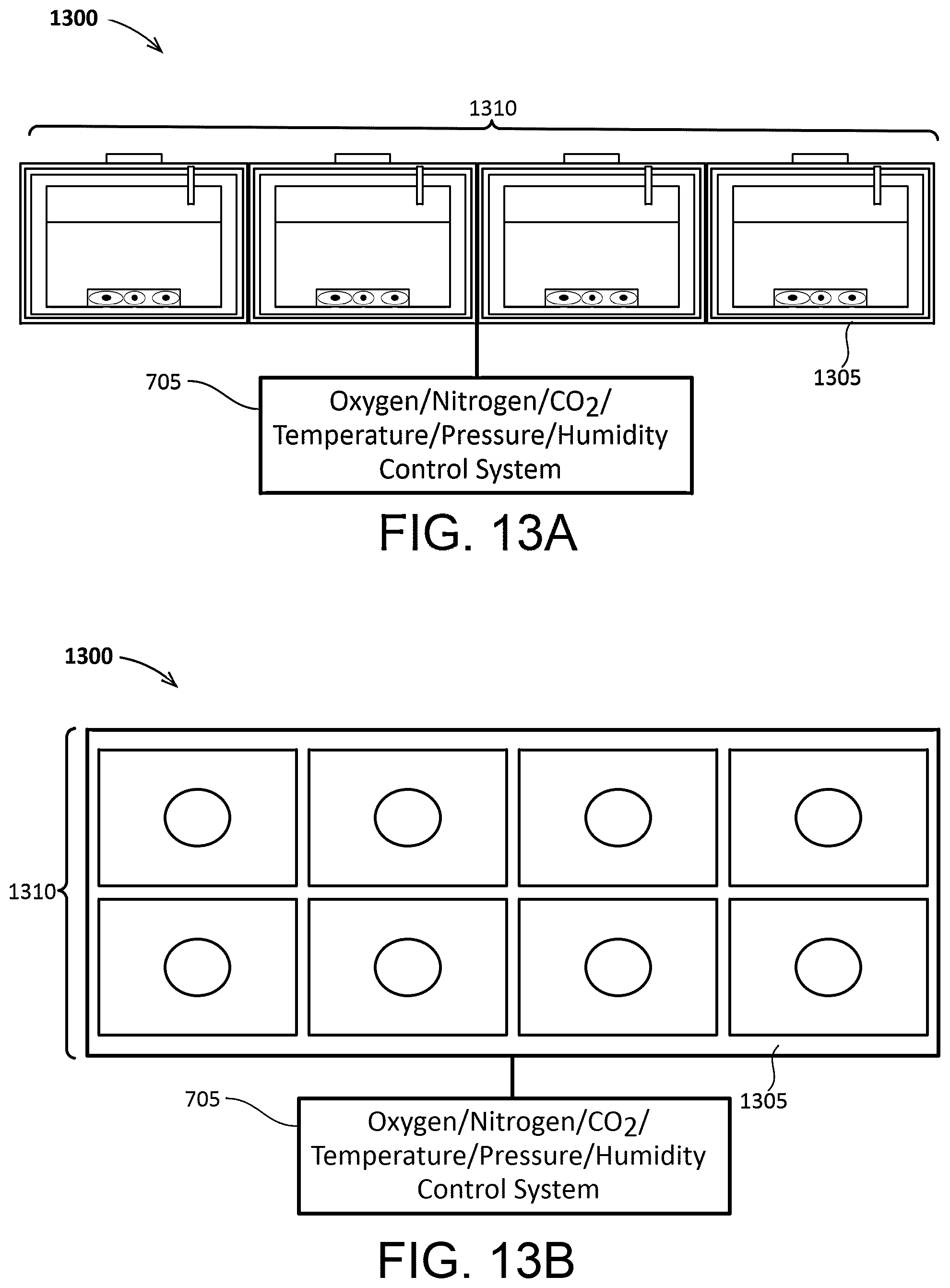 Patent US12460166 Figure 12 – Cell culture system with controlled gas transfer boundary conditions