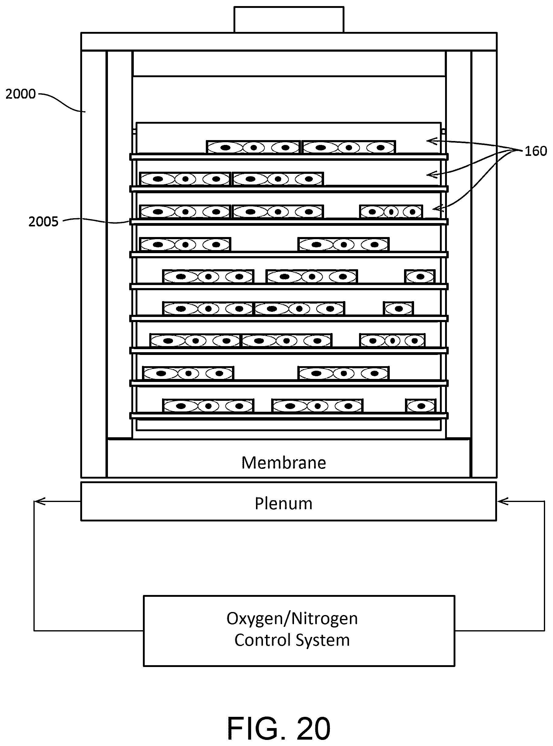 Patent US12460166 Figure 19 – Cell culture system with controlled gas transfer boundary conditions
