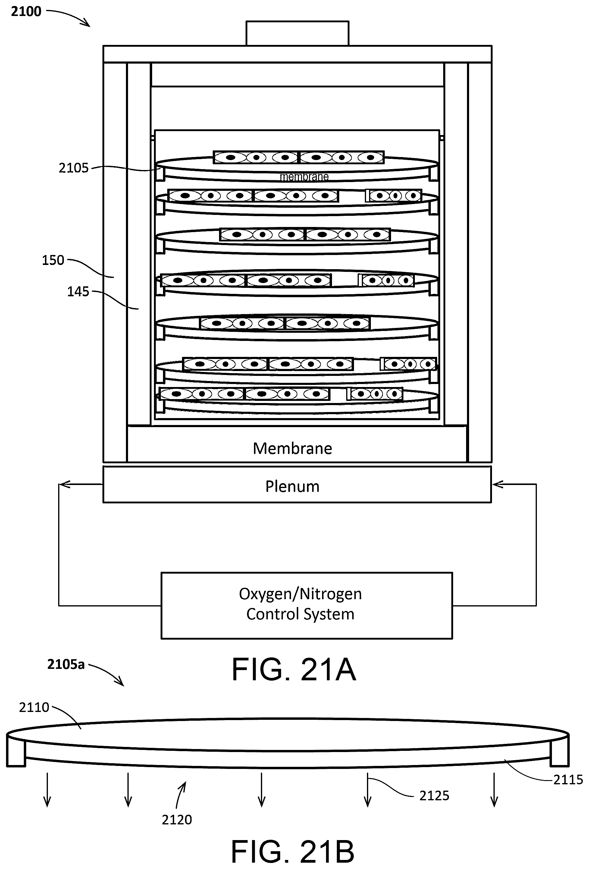 Patent US12460166 Figure 20 – Cell culture system with controlled gas transfer boundary conditions