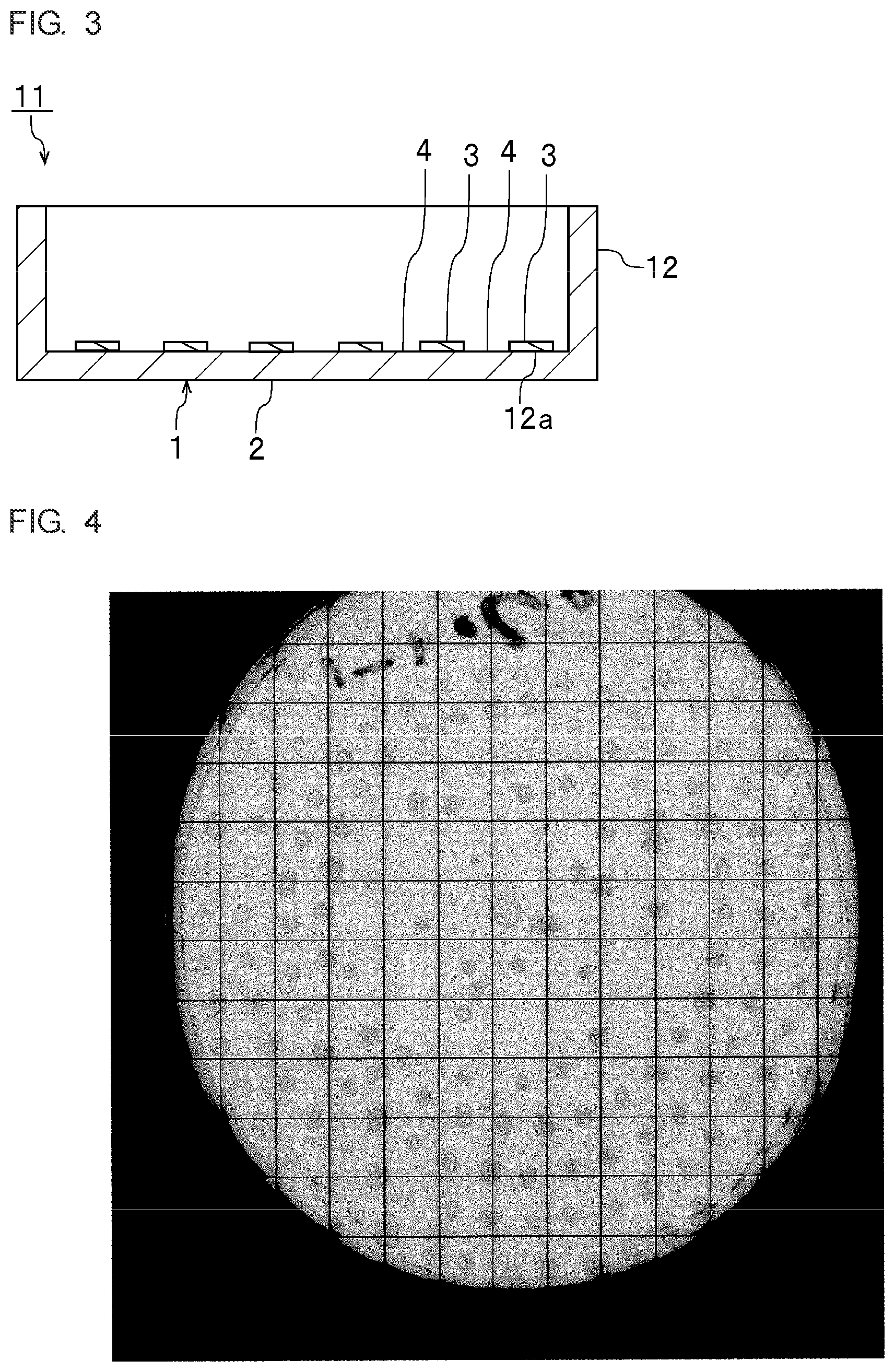 Patent US12460167 Figure 3 – Scaffold material for cell culture and cell culture container