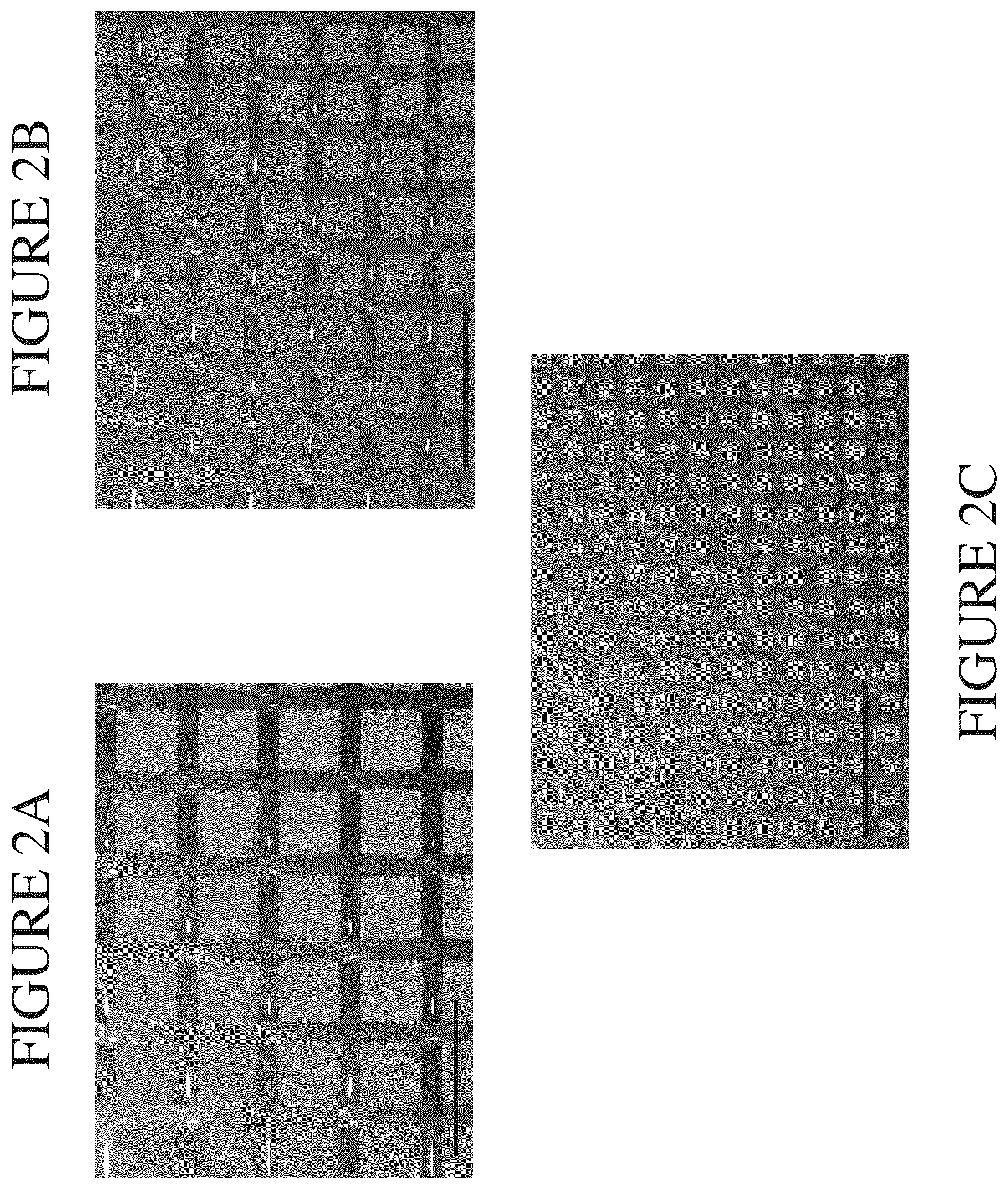 Patent US12460168 Figure 4 – Packed-bed bioreactor systems and methods of using the same
