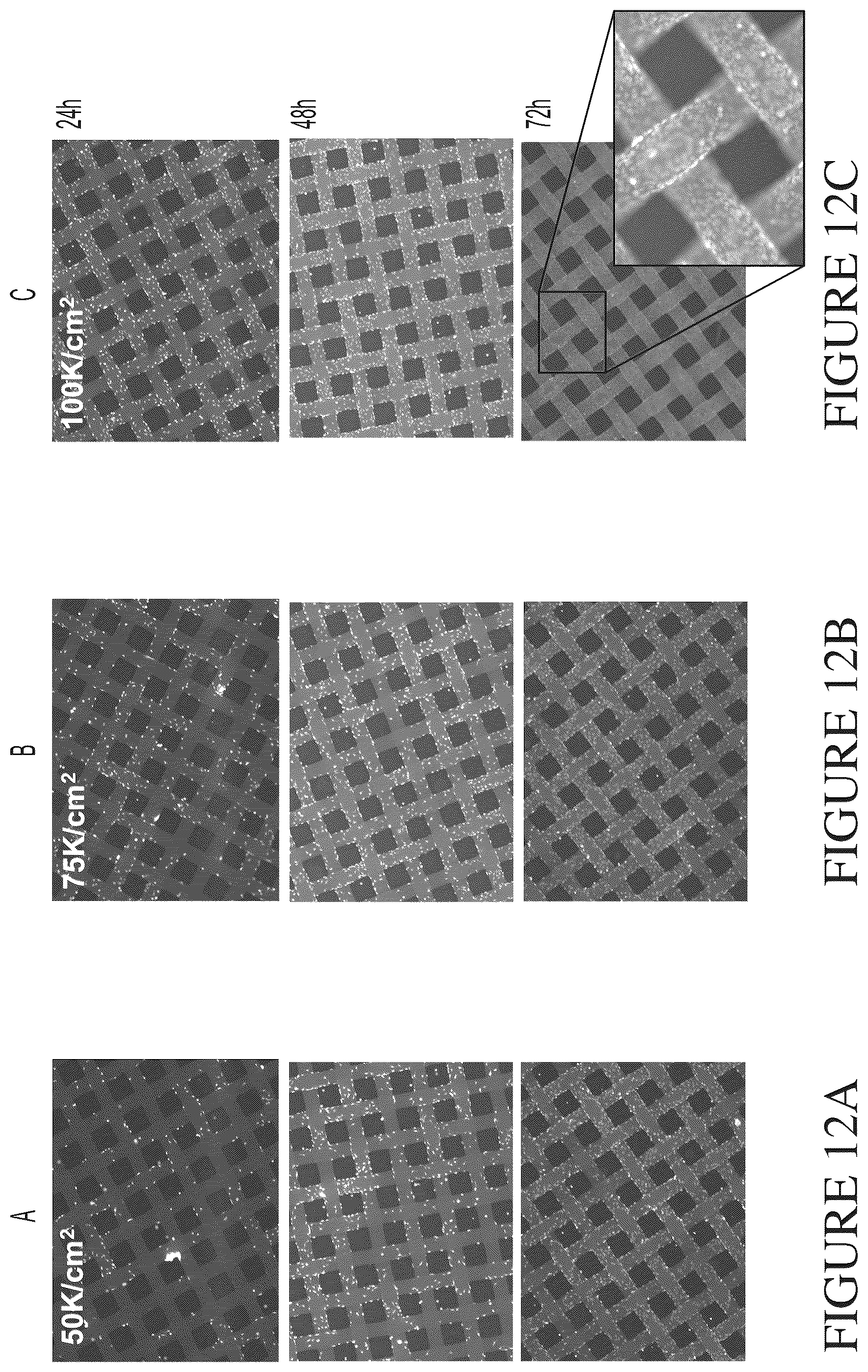 Patent US12460168 Figure 16 – Packed-bed bioreactor systems and methods of using the same