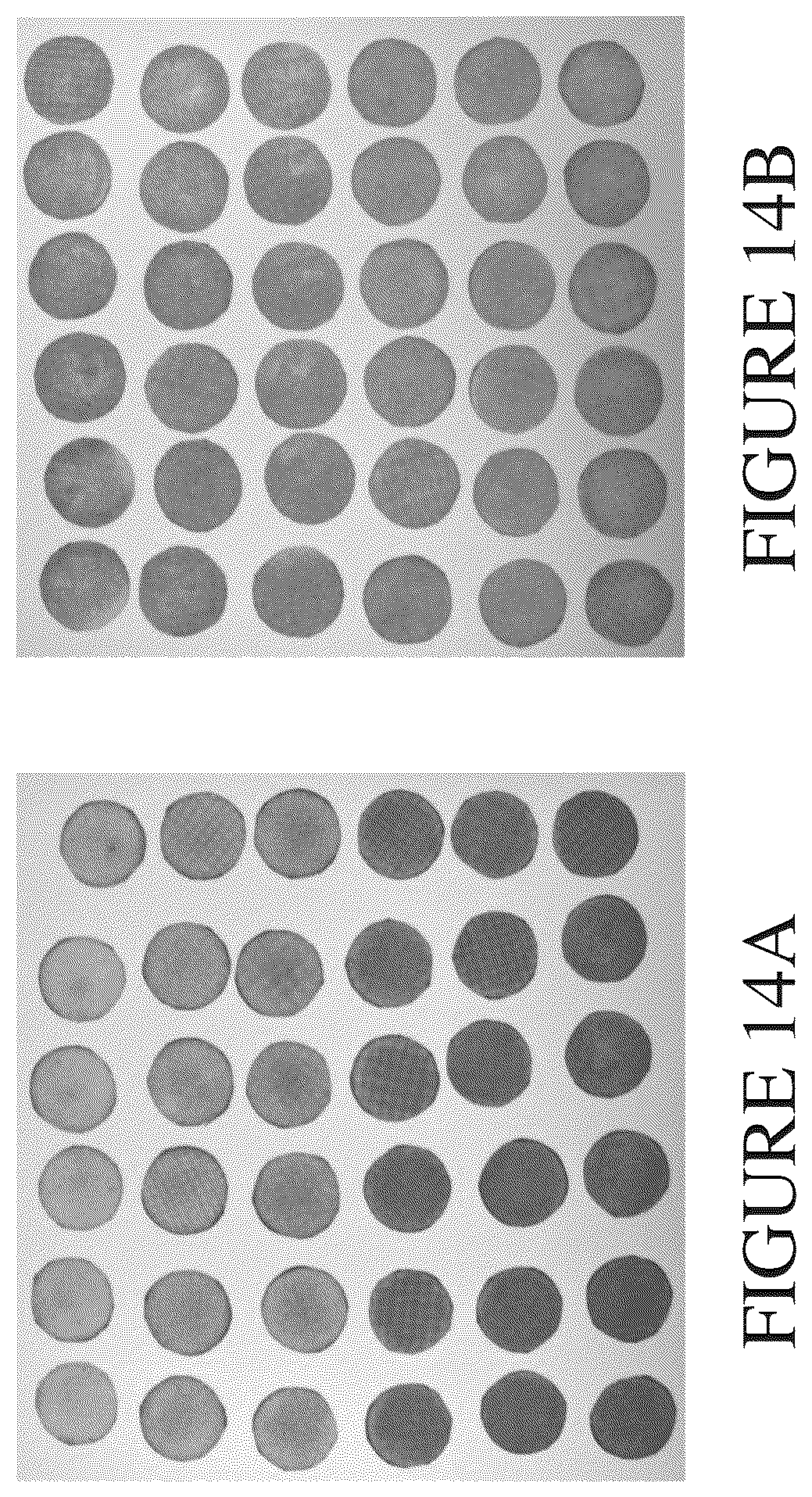 Patent US12460168 Figure 18 – Packed-bed bioreactor systems and methods of using the same