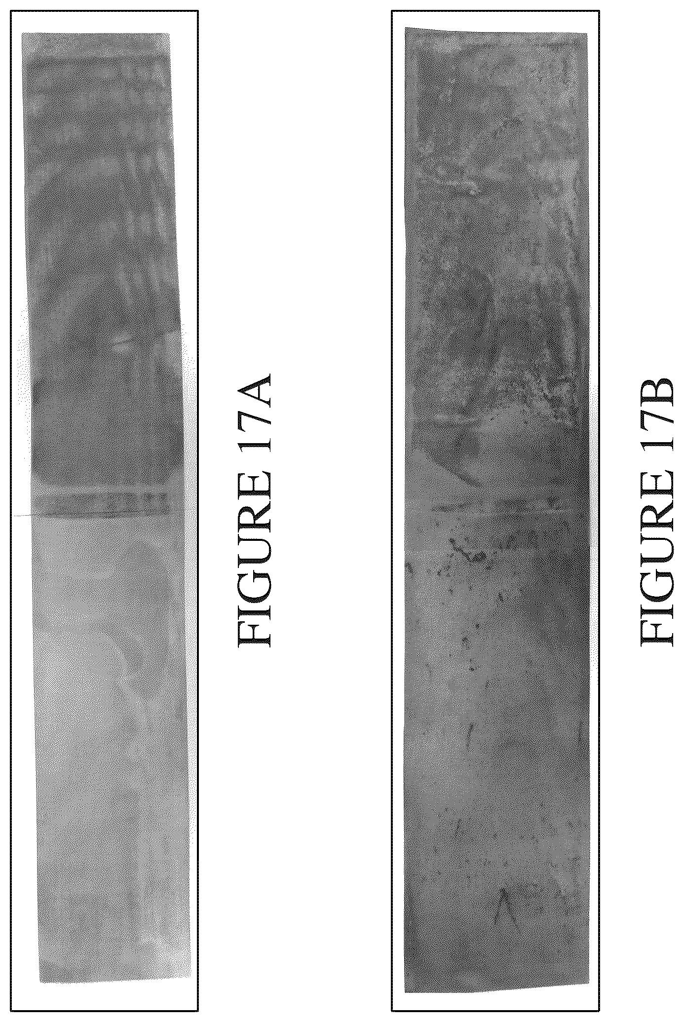 Patent US12460168 Figure 20 – Packed-bed bioreactor systems and methods of using the same